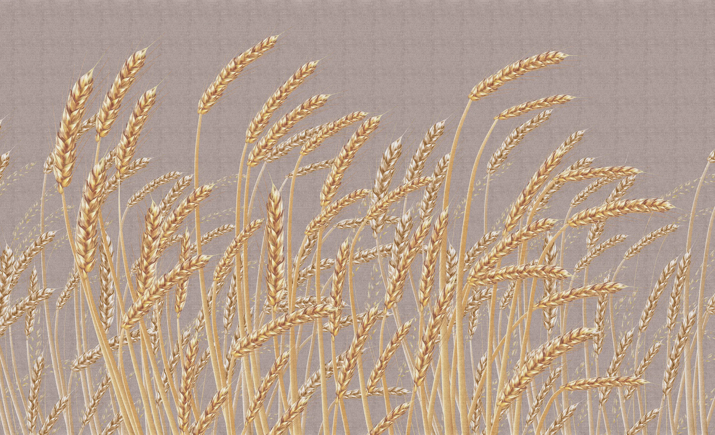 Taplab Wall Covering - Blé | 251_002
