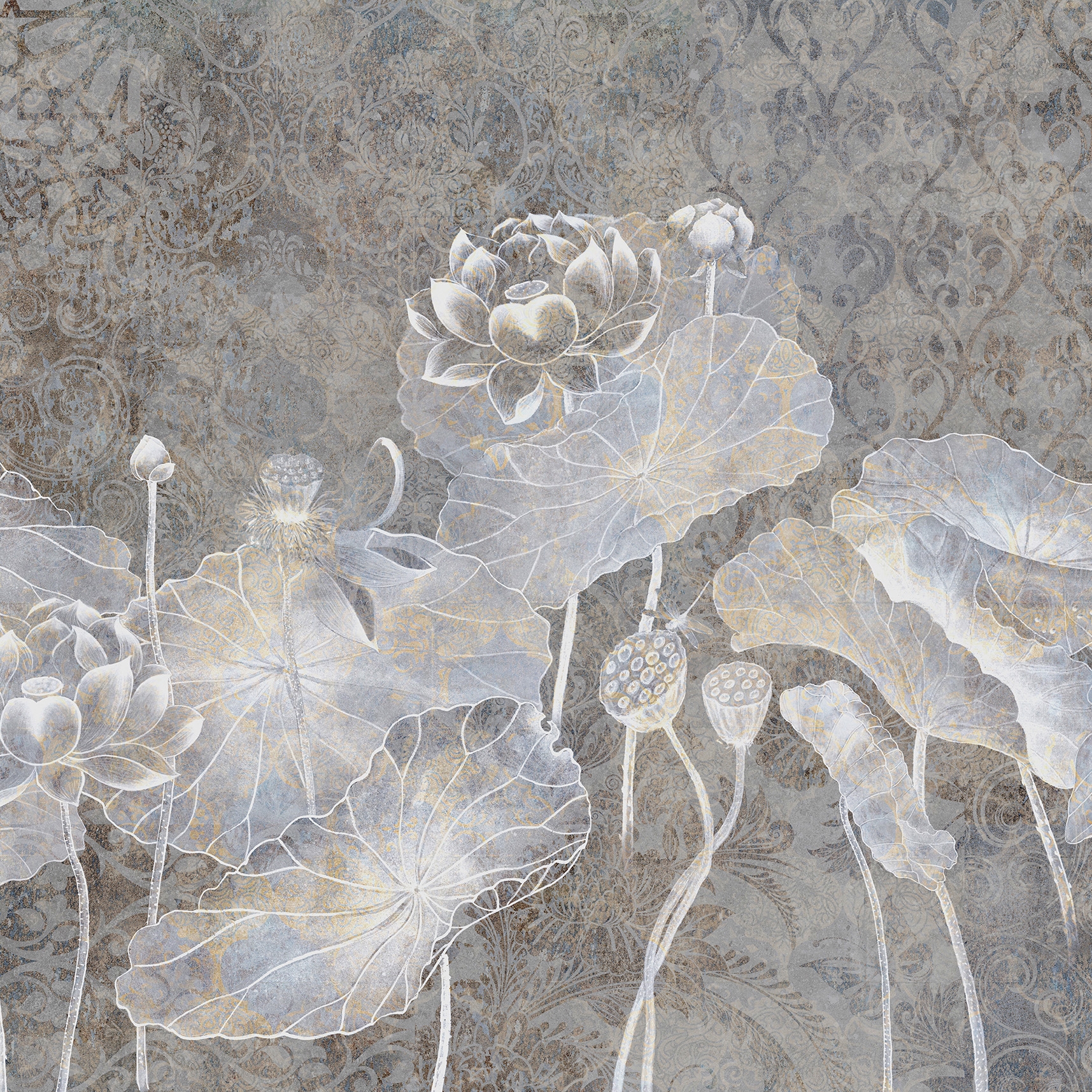 Lotus | 291_003