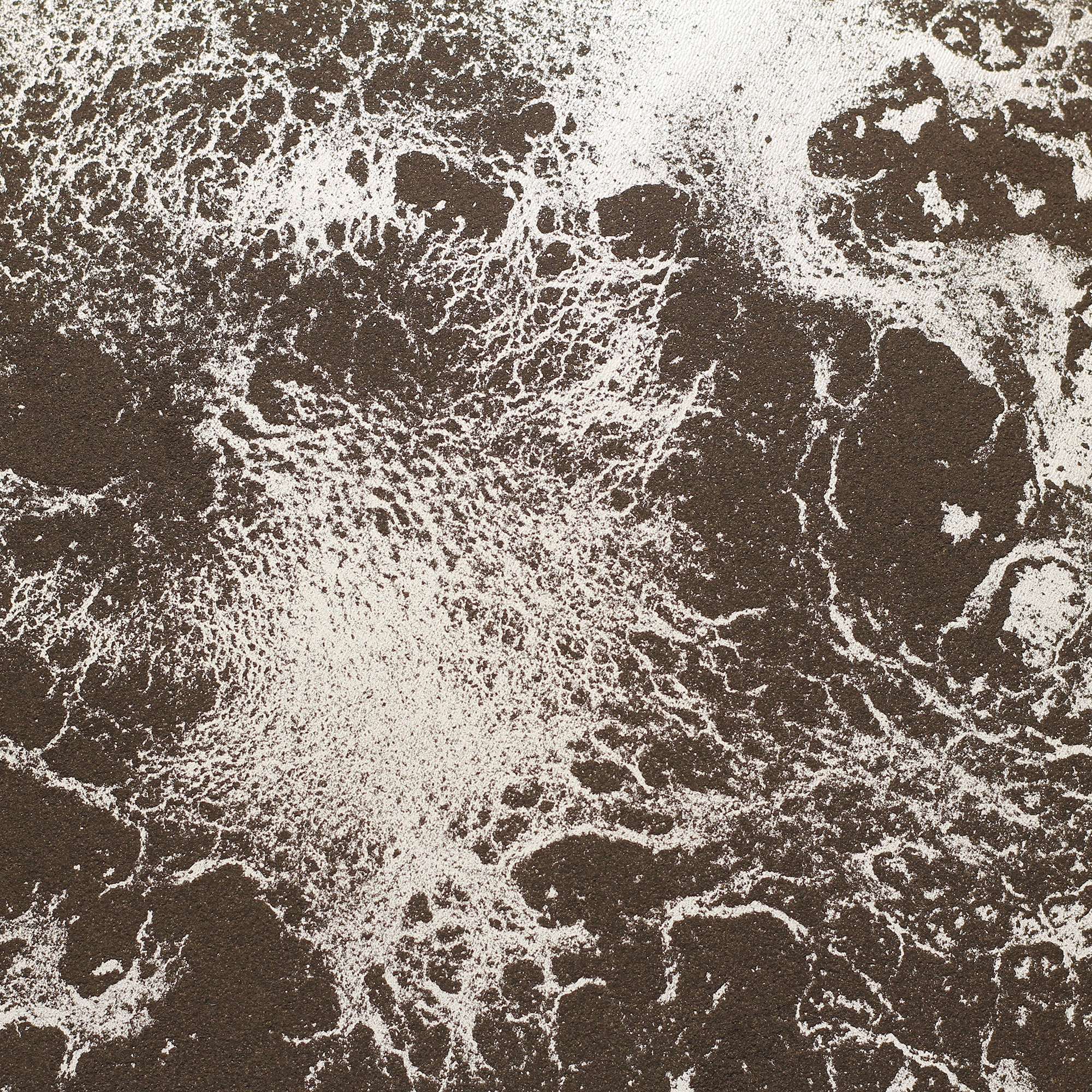 Mostrar el producto Soil and Cement Dust | Ardesia | 321_001 del fabricante Taplab Wall Covering
