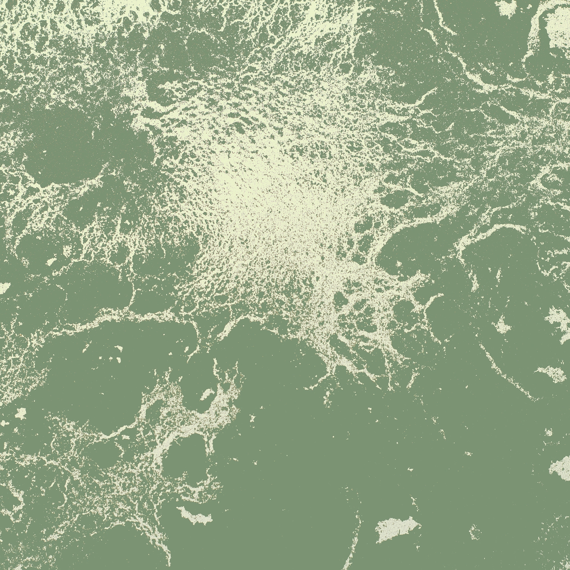 Mostrar el producto Soil and Cement Dust | Celadon | 322_002 del fabricante Taplab Wall Covering