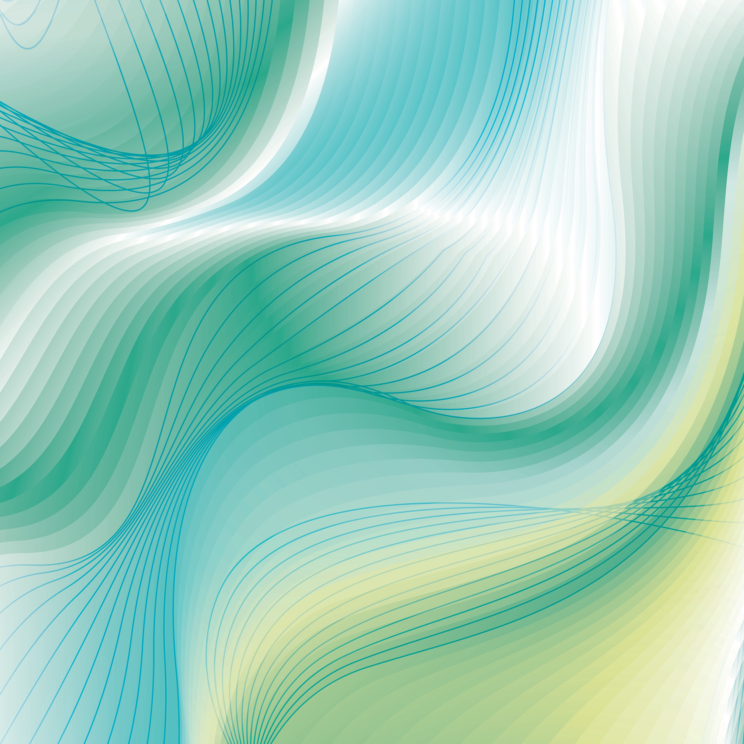 Flow | 428_003