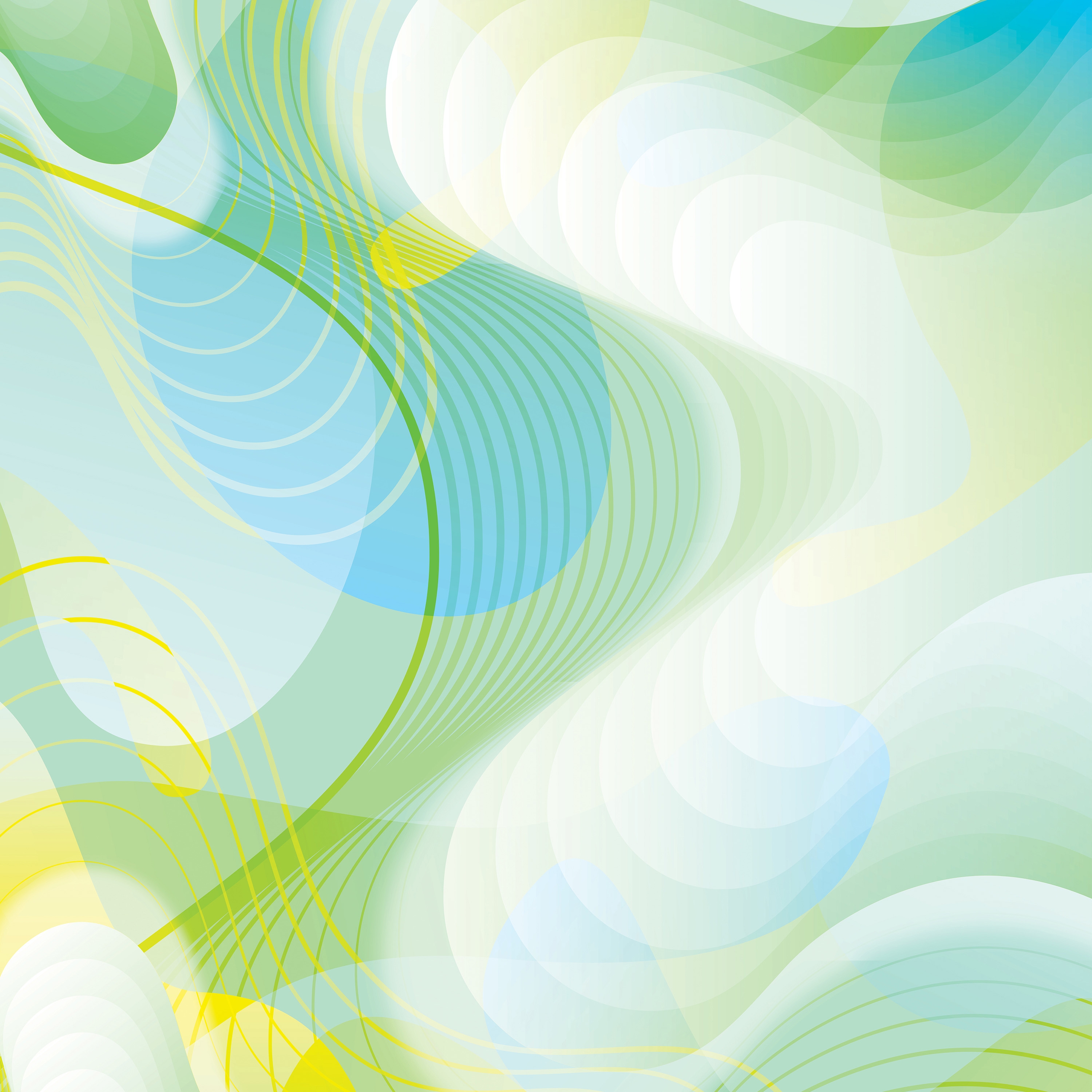 Flux | 429_003