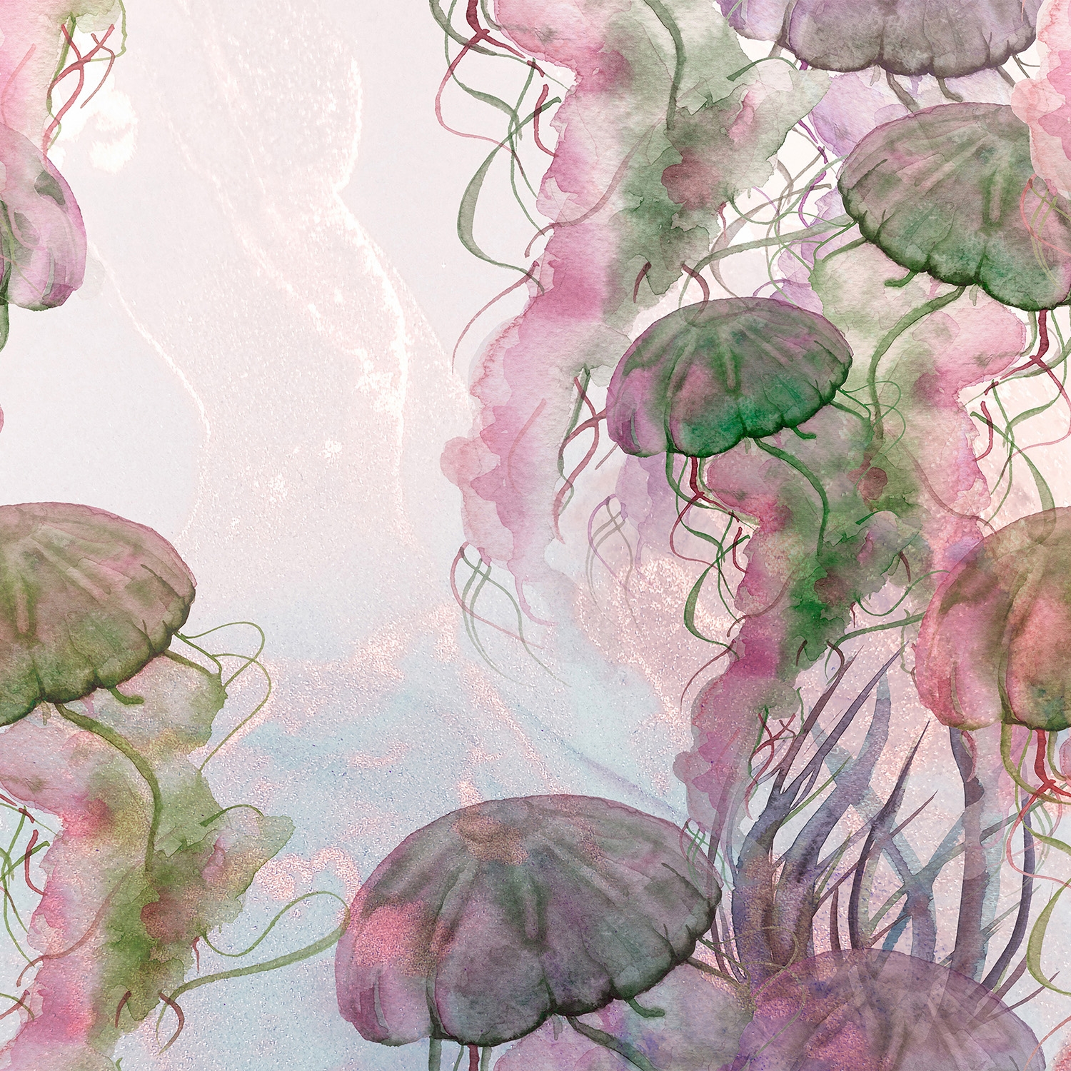 Jellyfish | 445_004
