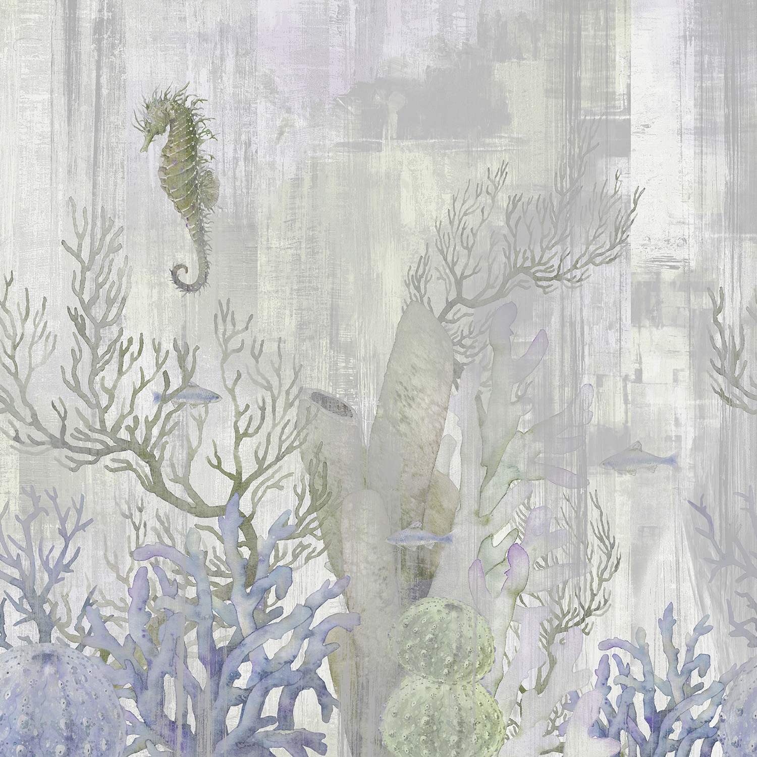 Seahorse | 446_004