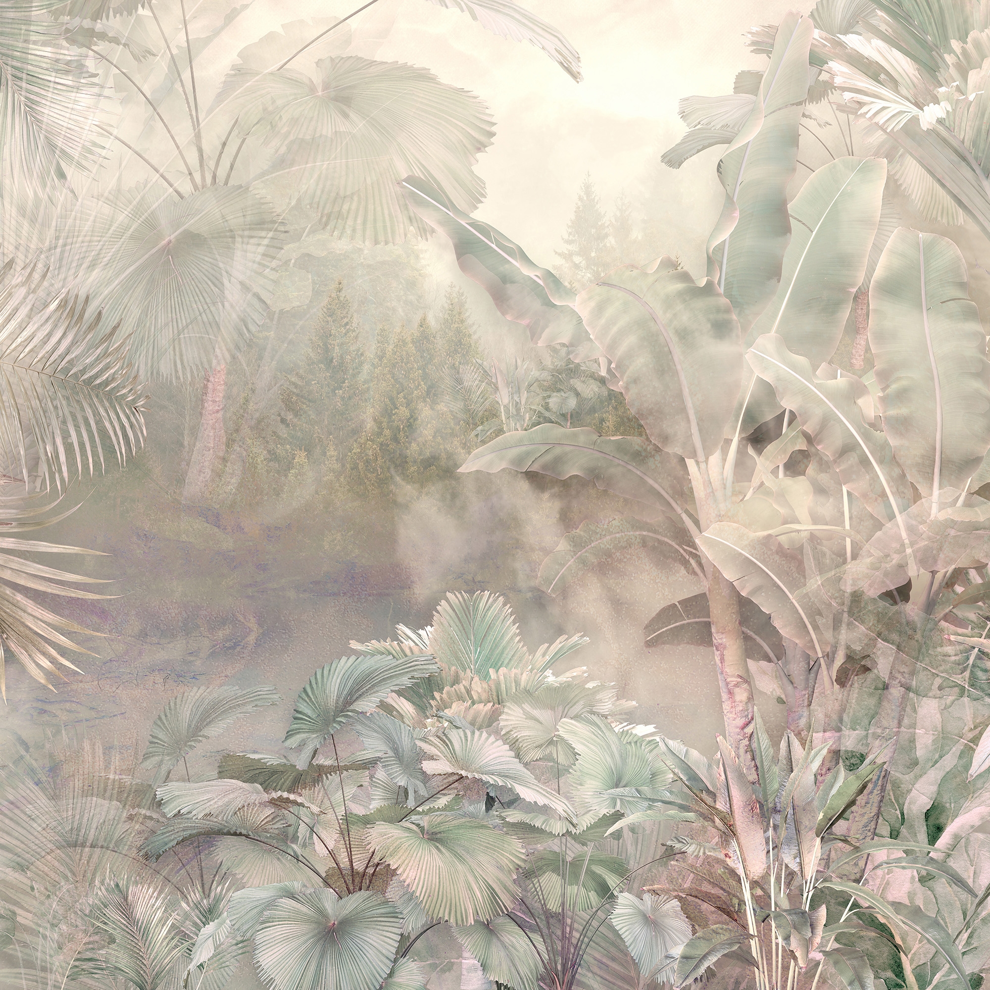 Amazzonia | 438_002