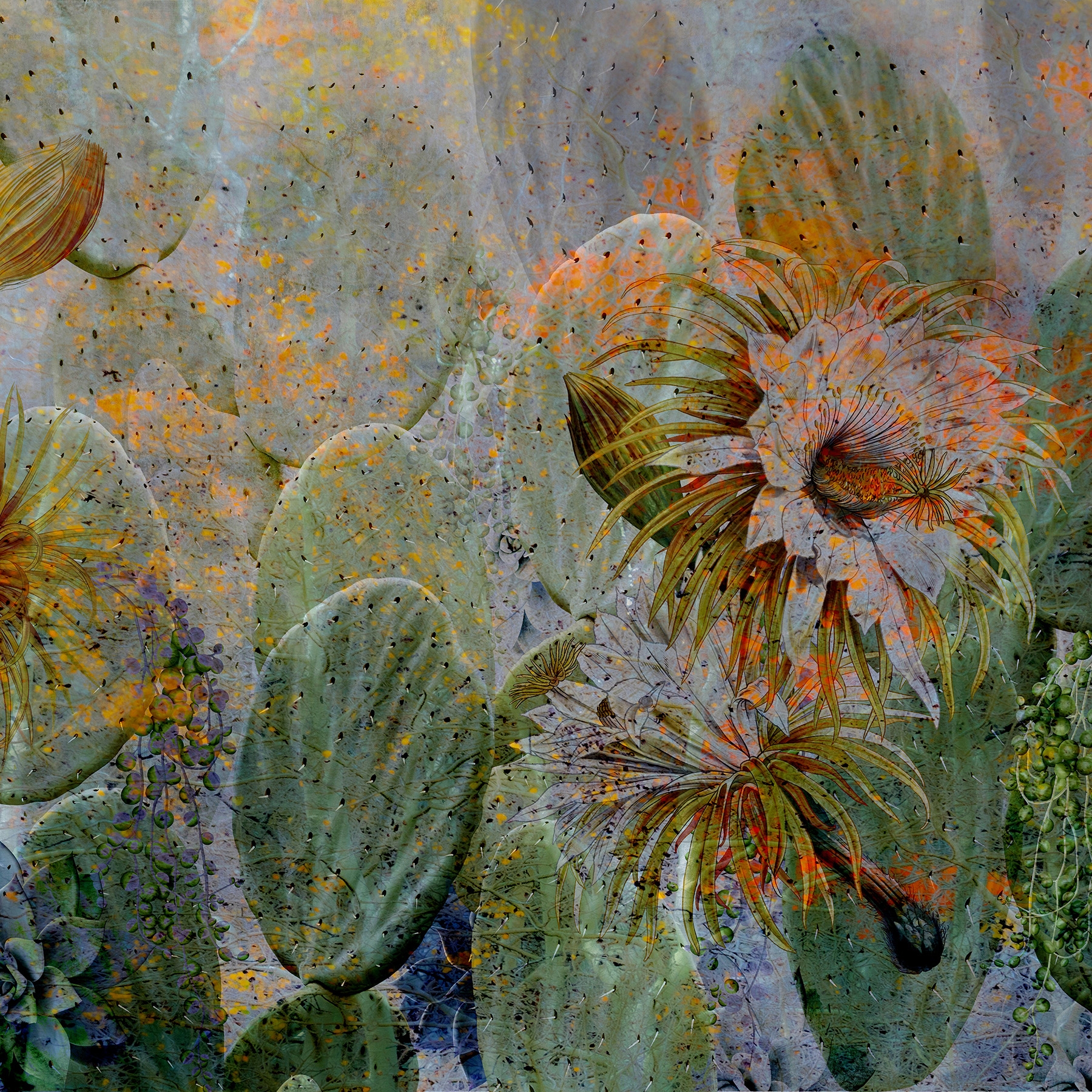 Display product Fichi d'India | 461_003 from manufacturer Taplab Wall Covering