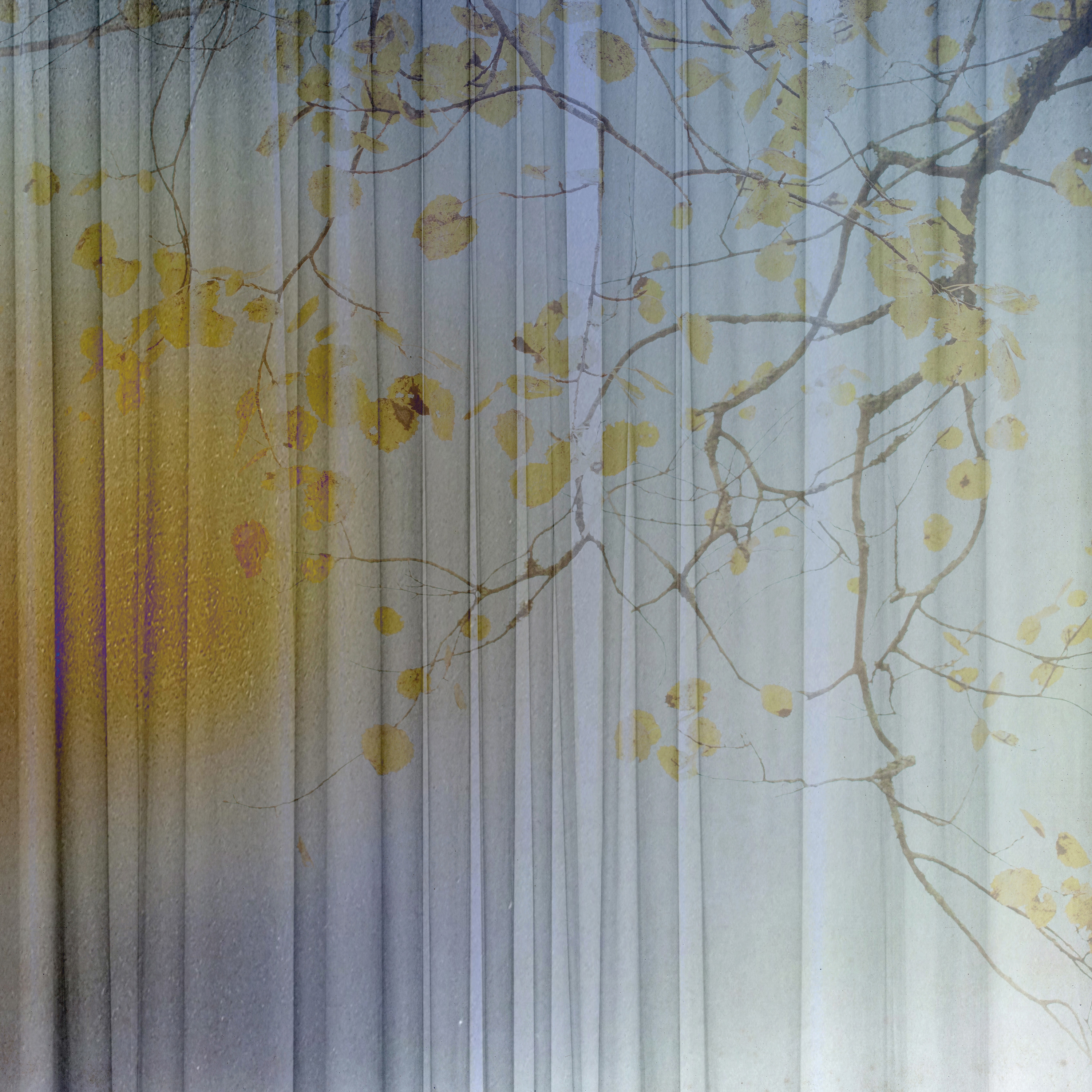 Display product Maliko | 464_001 from manufacturer Taplab Wall Covering