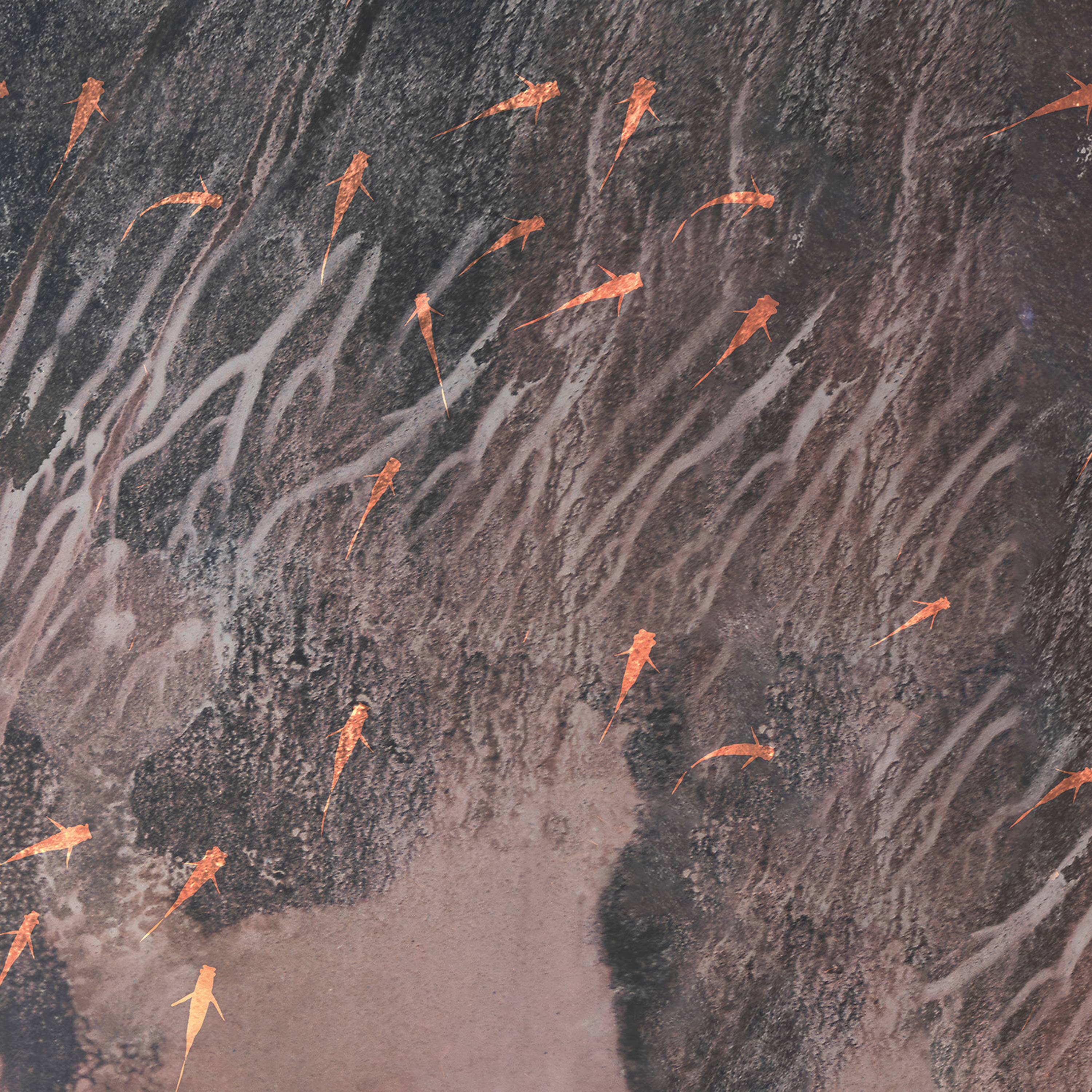 Colonies | 582_004