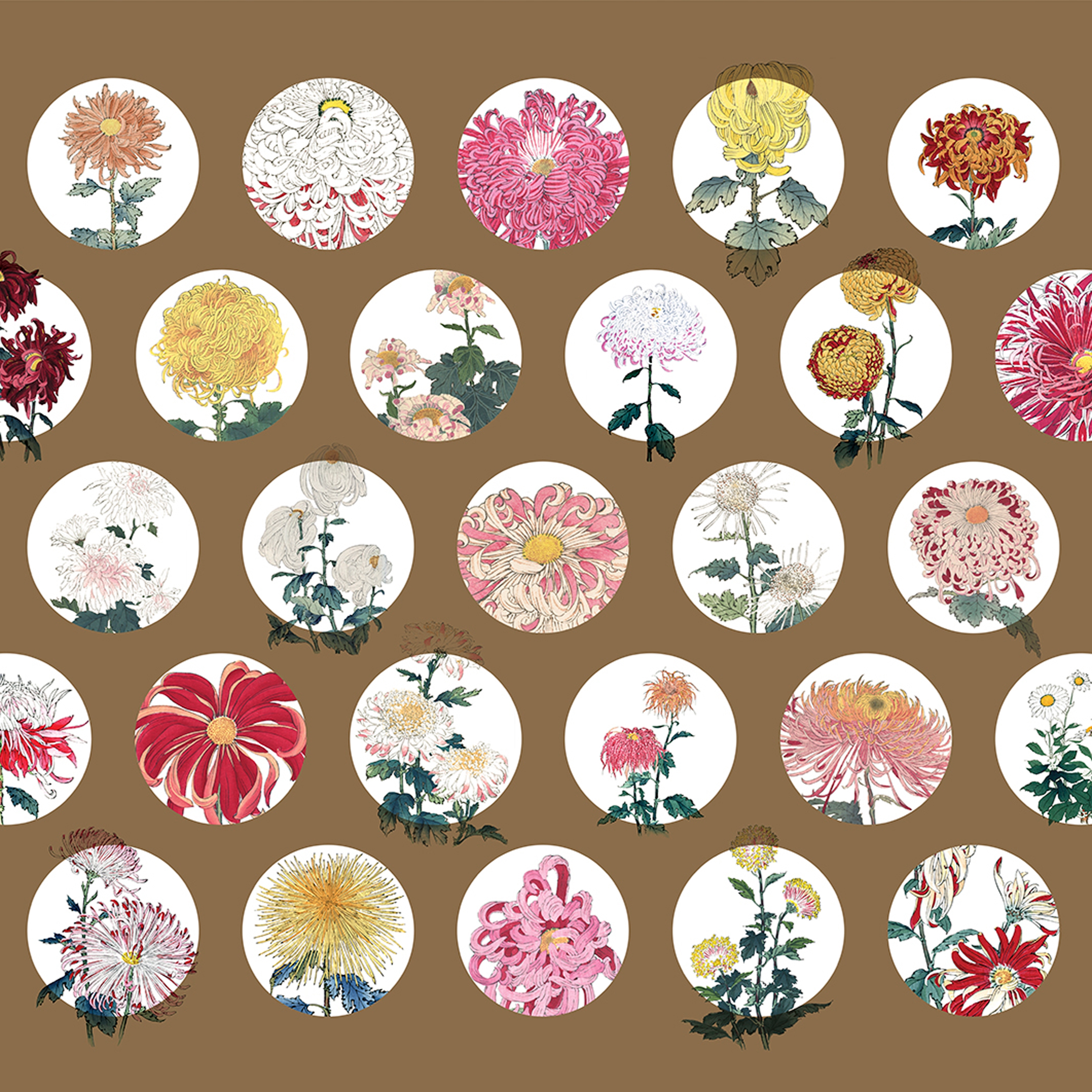 Flower | 505_003