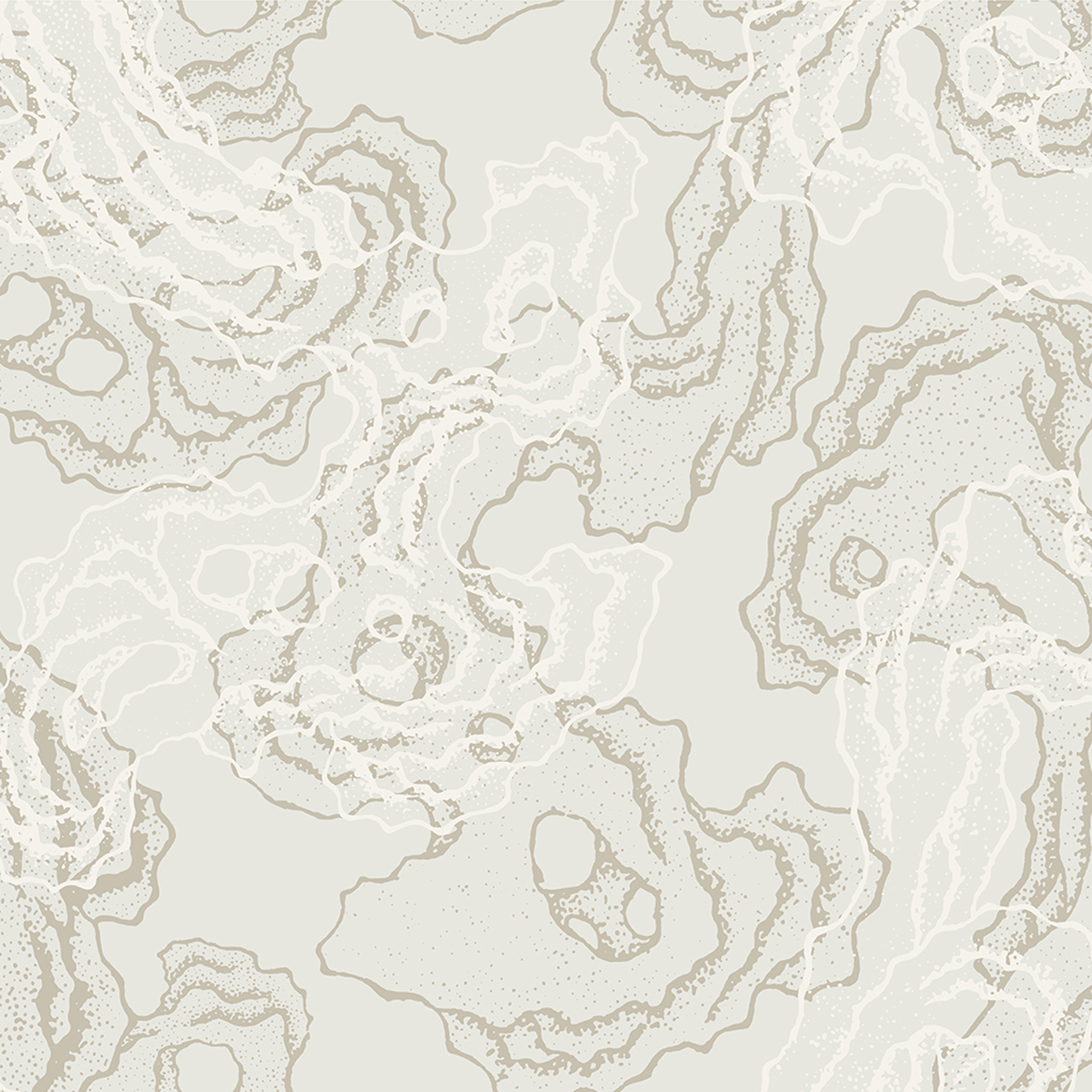 Produkt Scholar's Rock | 502_003 des Herstellers Taplab Wall Covering anzeigen