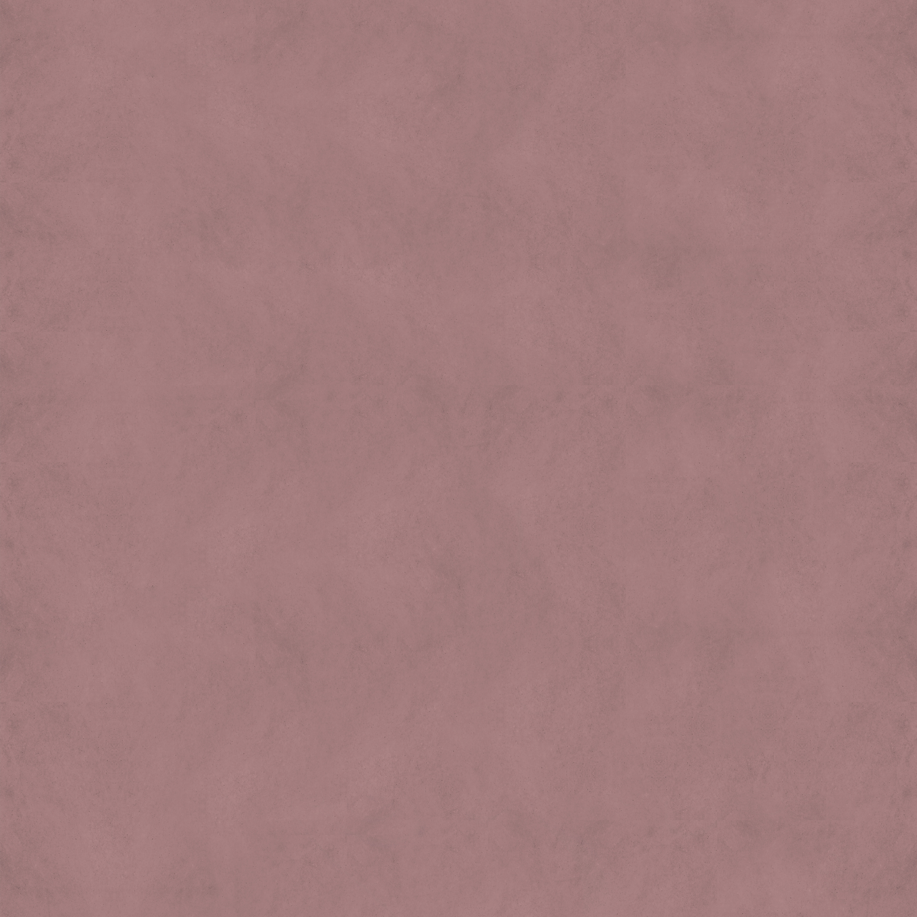 Monochrome Rosa | 509_004