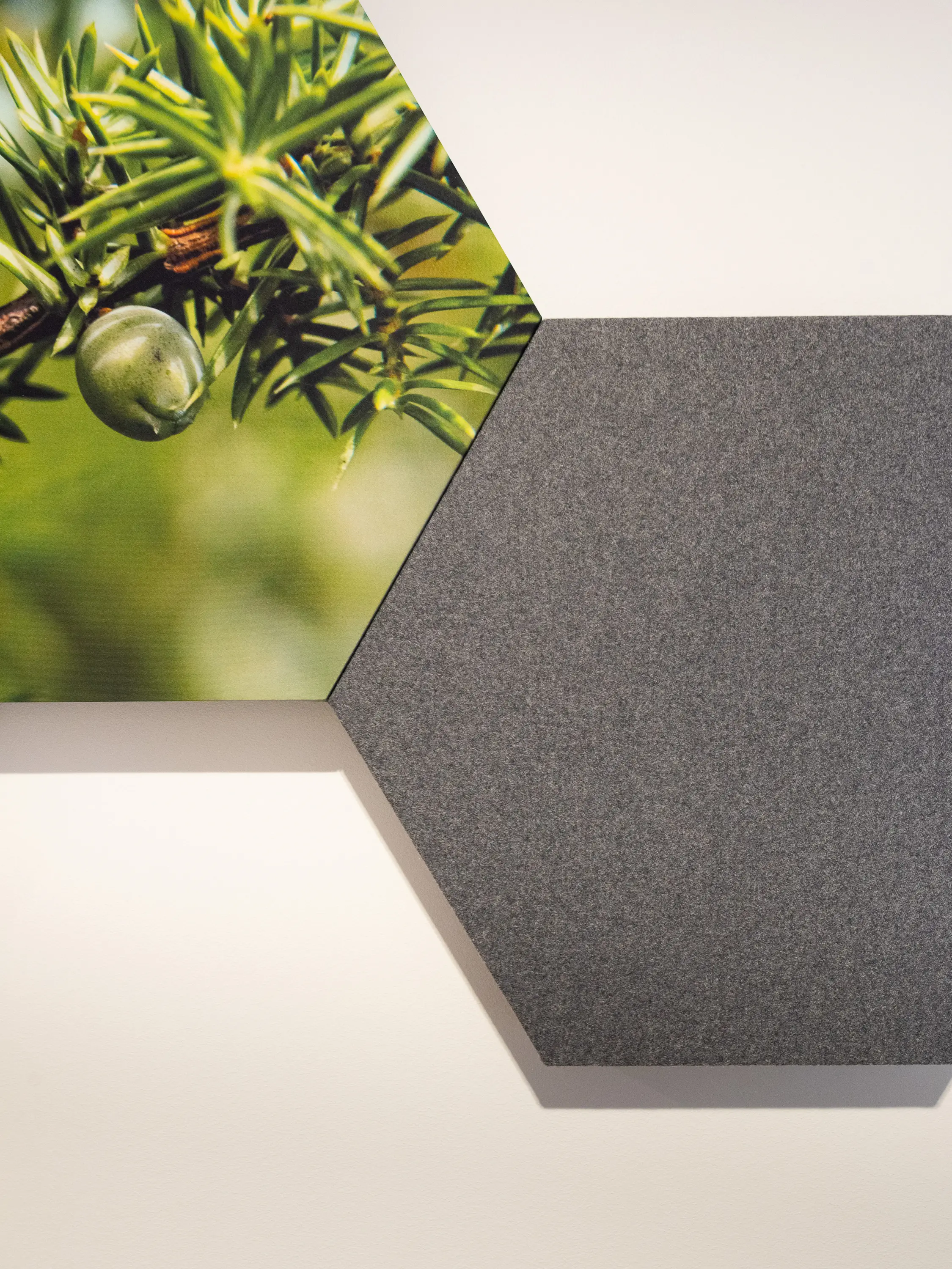 HYSSNY - Hyssny Shape Hexagon