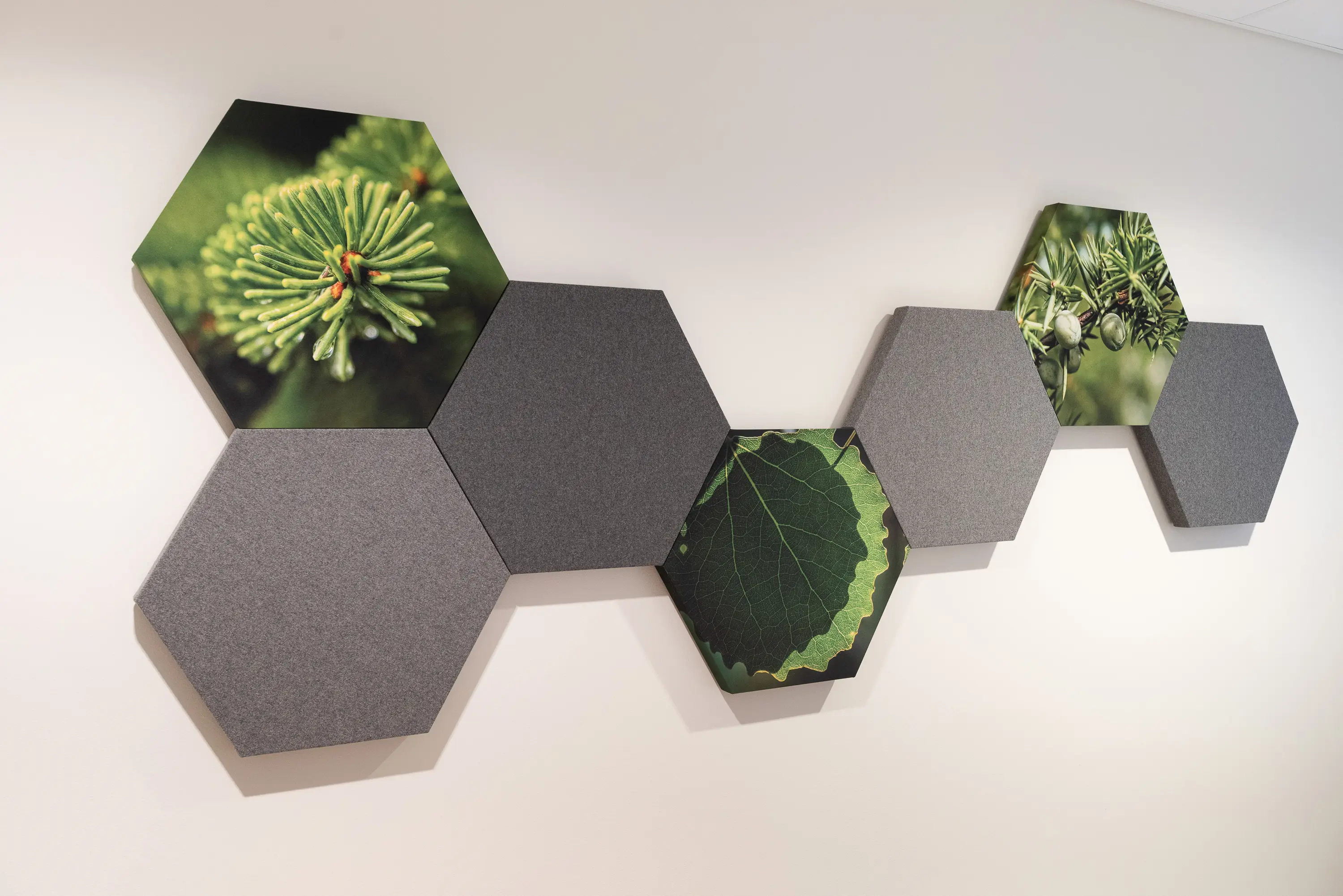 HYSSNY - Hyssny Shape Hexagon
