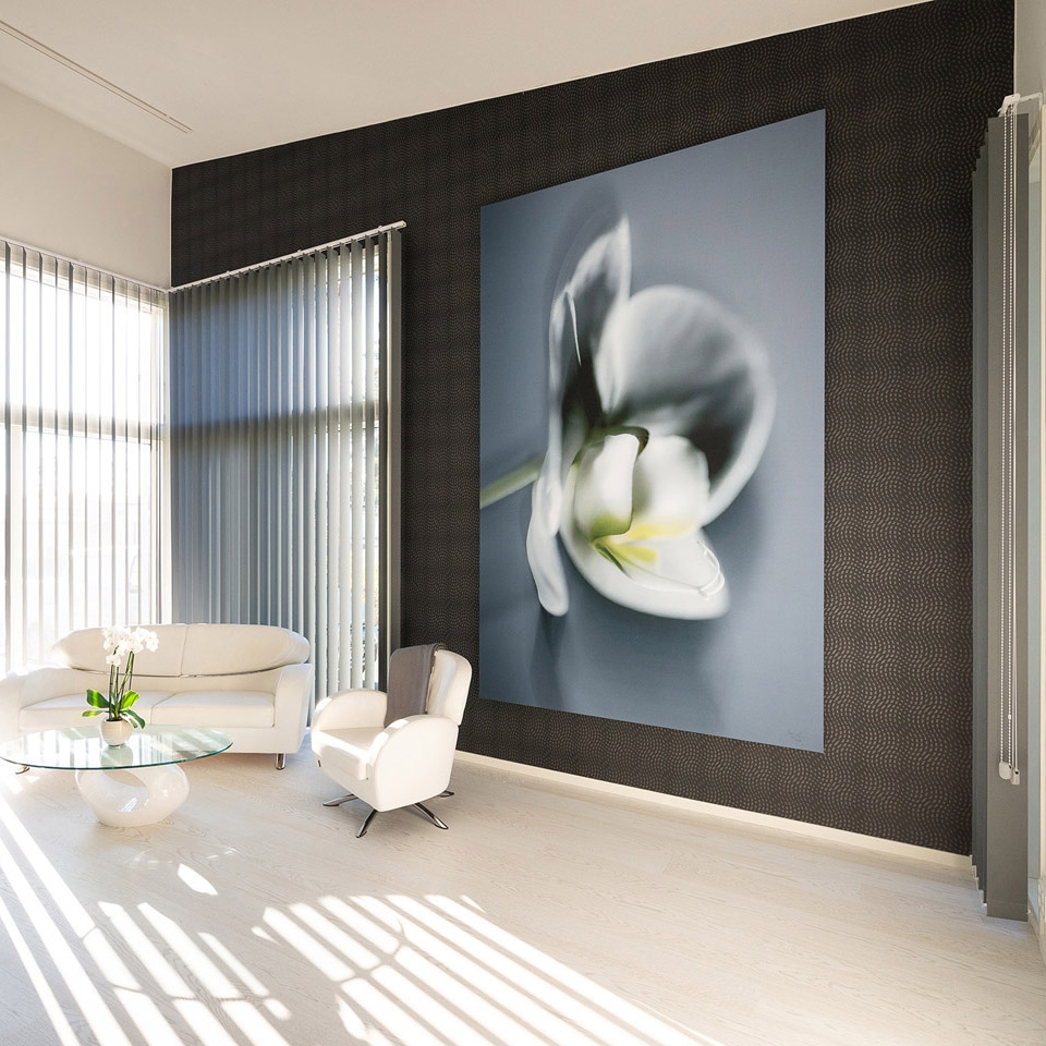 Mostrar el producto Hyssny Facet Printed del fabricante HYSSNY