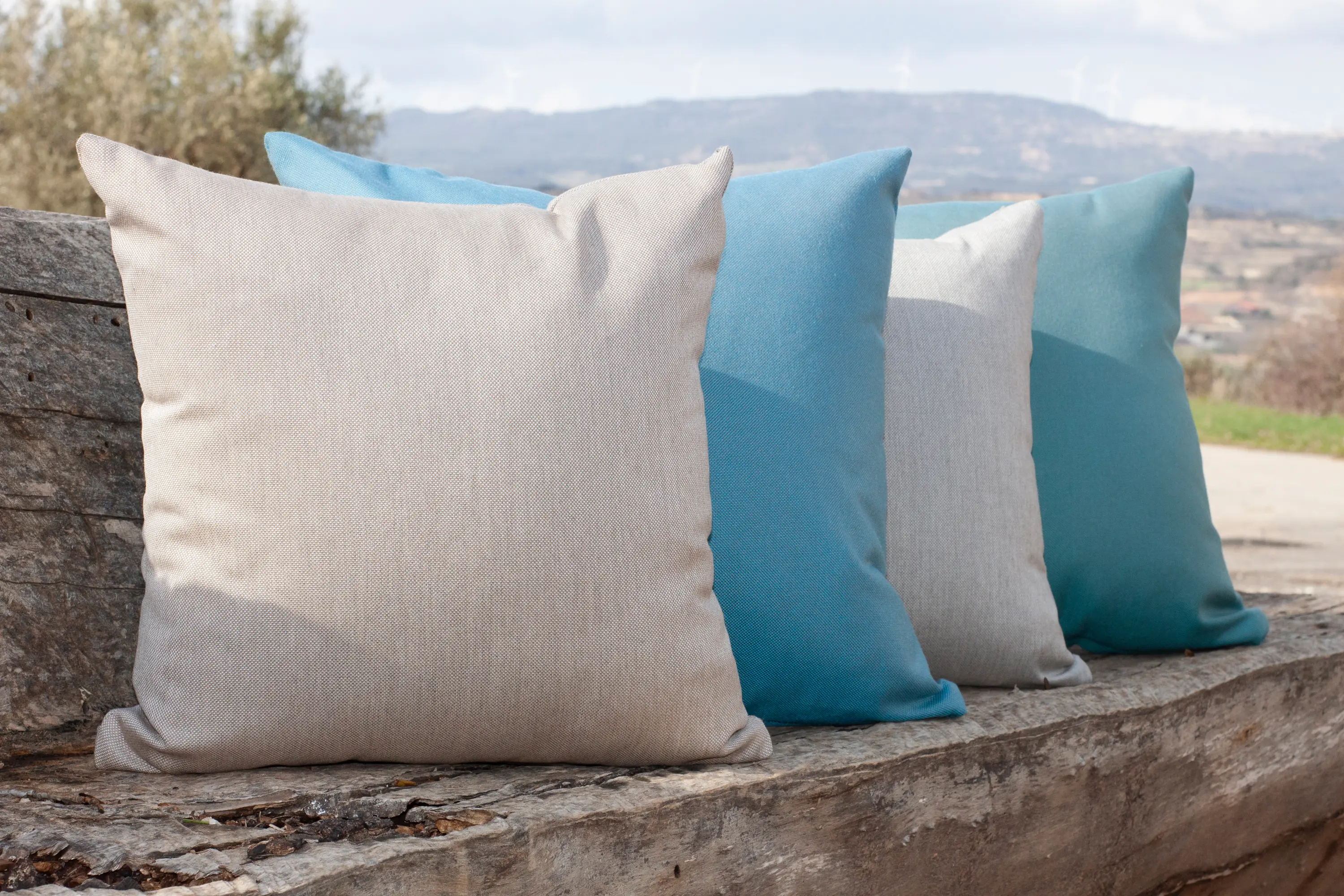 Agora - Panama | Alga