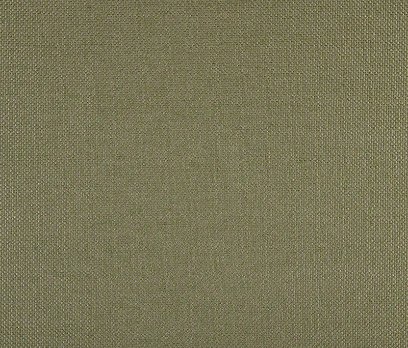 Agora - Panama | Alga