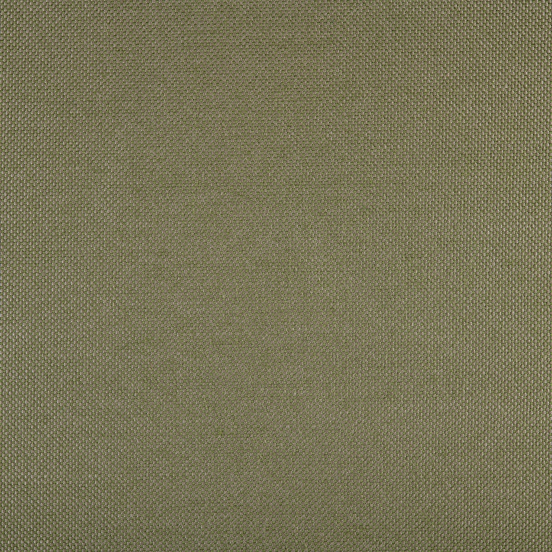 Panama | Alga