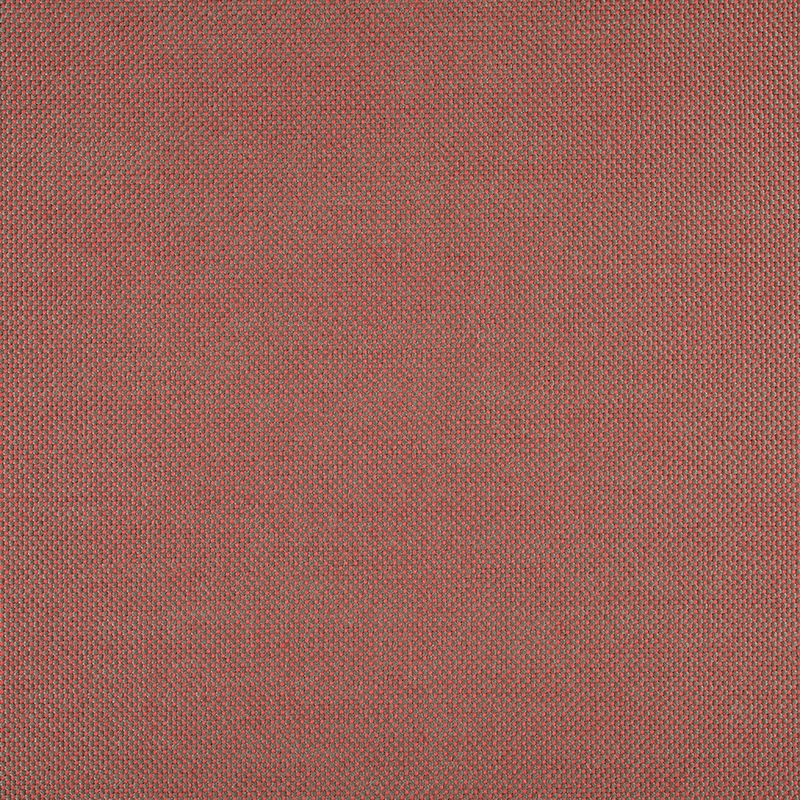 Panama | Cherry