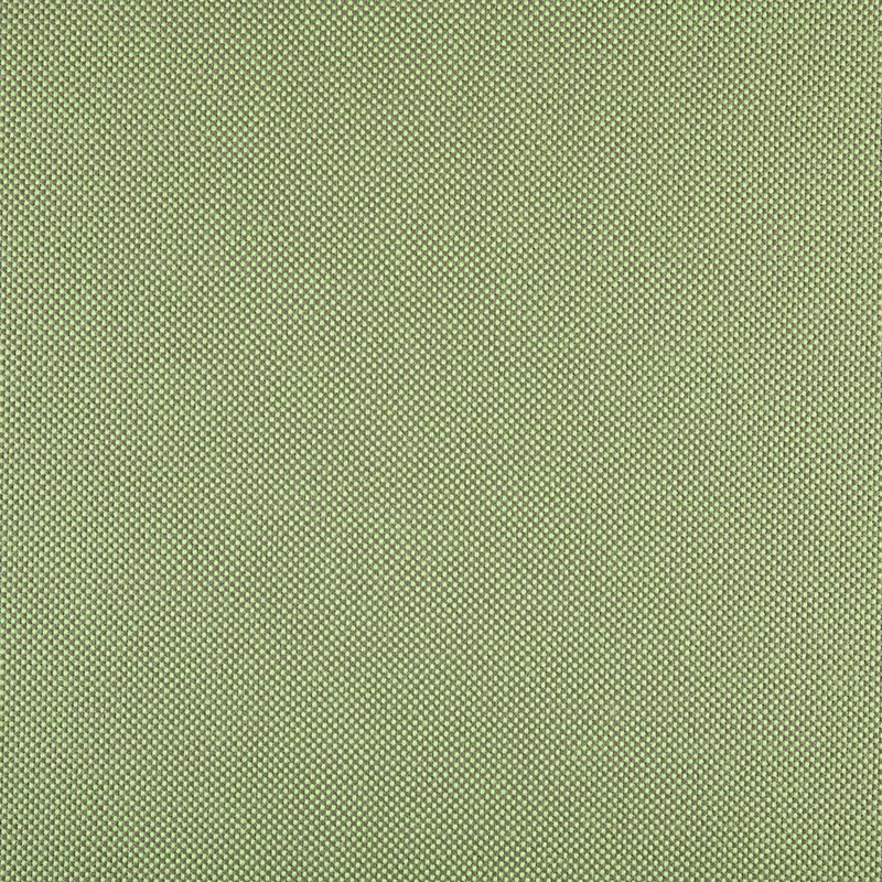 Mostra il prodotto Panama | Grass del produttore Agora