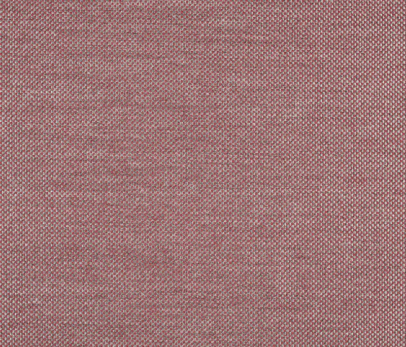 Agora - Panama | Scarlet