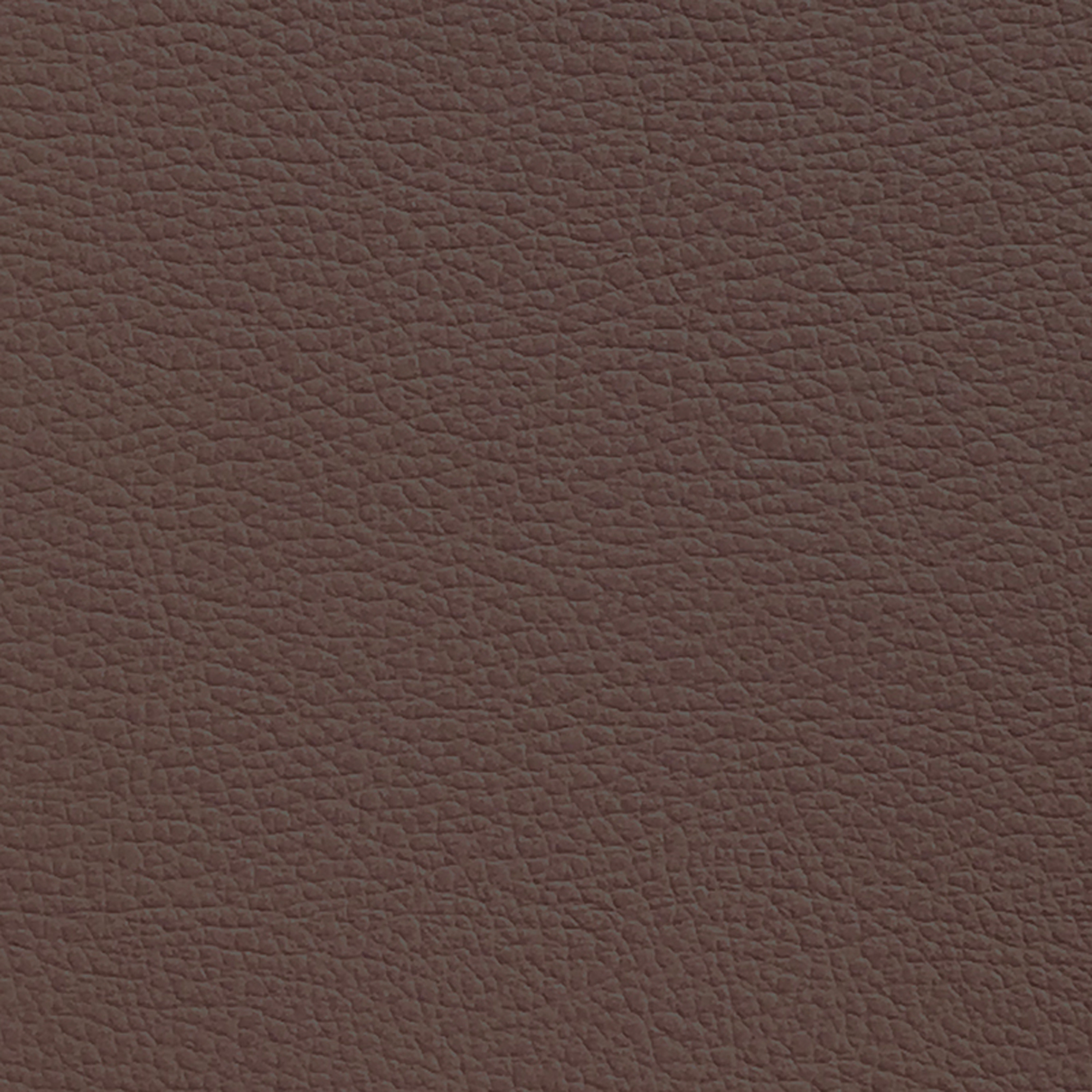 Mostrar el producto Charm Chocolate del fabricante Agora