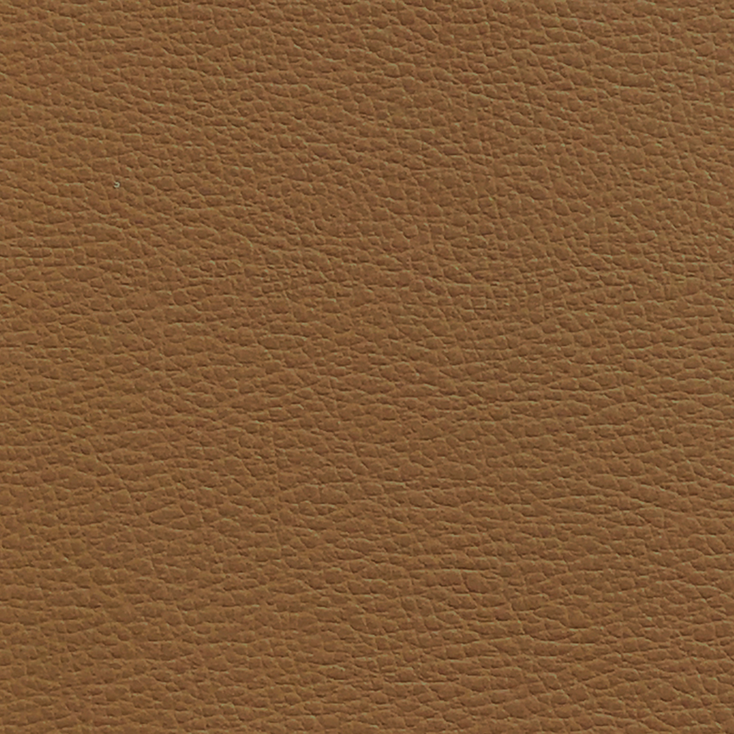 Afficher le produit Charm Fungi du fabricant Agora
