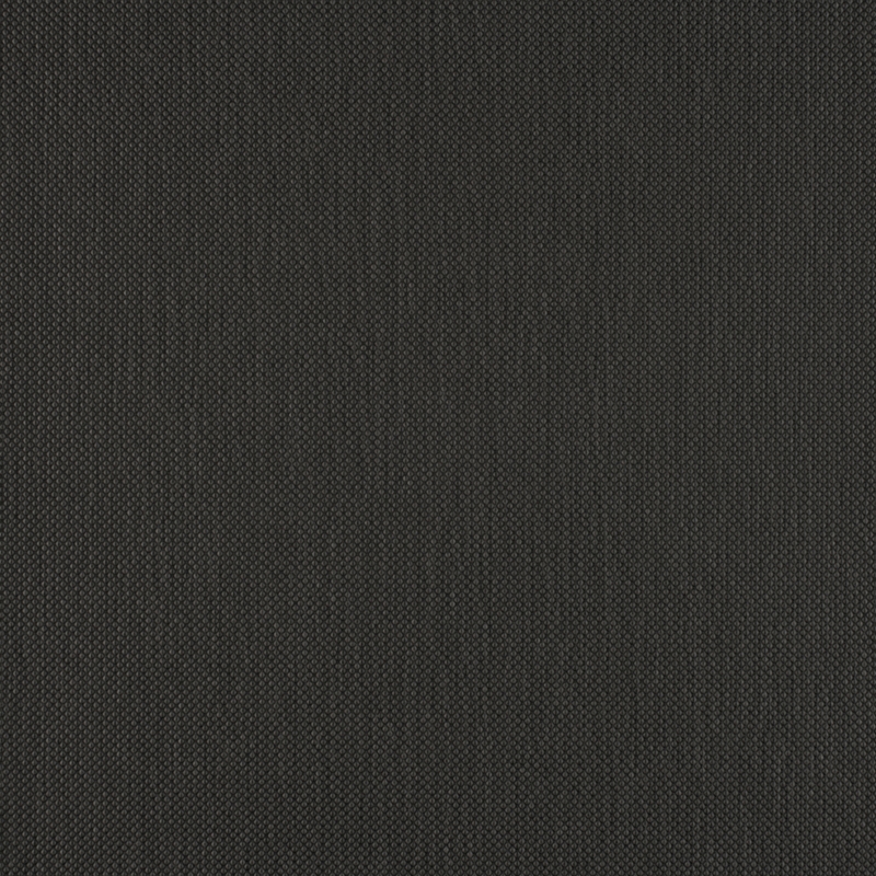 Pro Argos | Carbon
