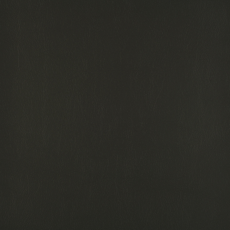 Pro Atlantis | Noir