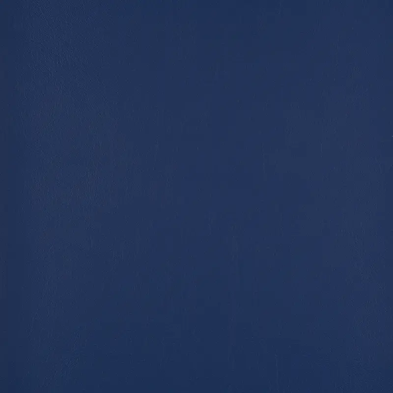 Agora - Pro Atlantis | Royal Blue