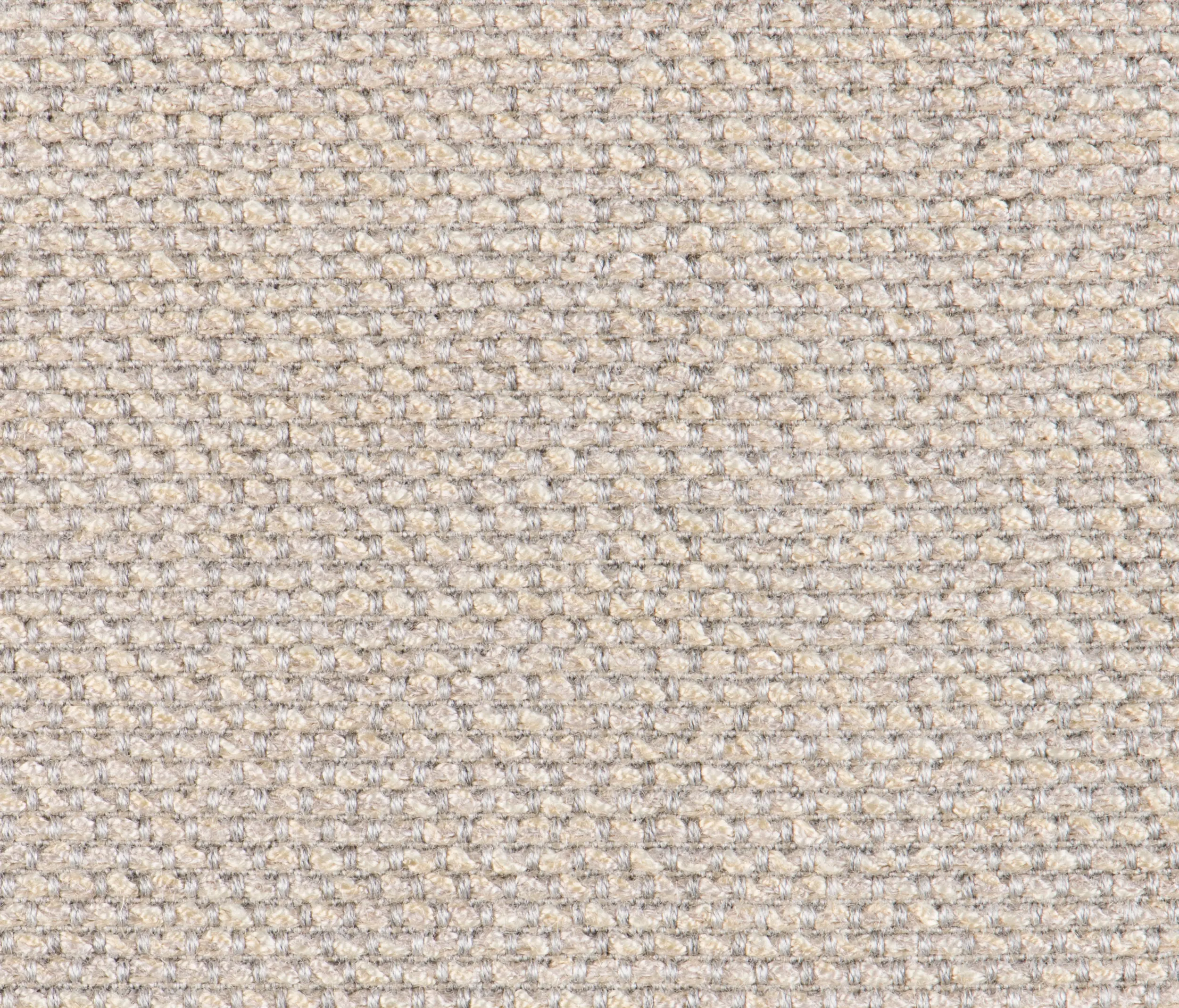 Agora - Signature Series Sunset | Papyrus