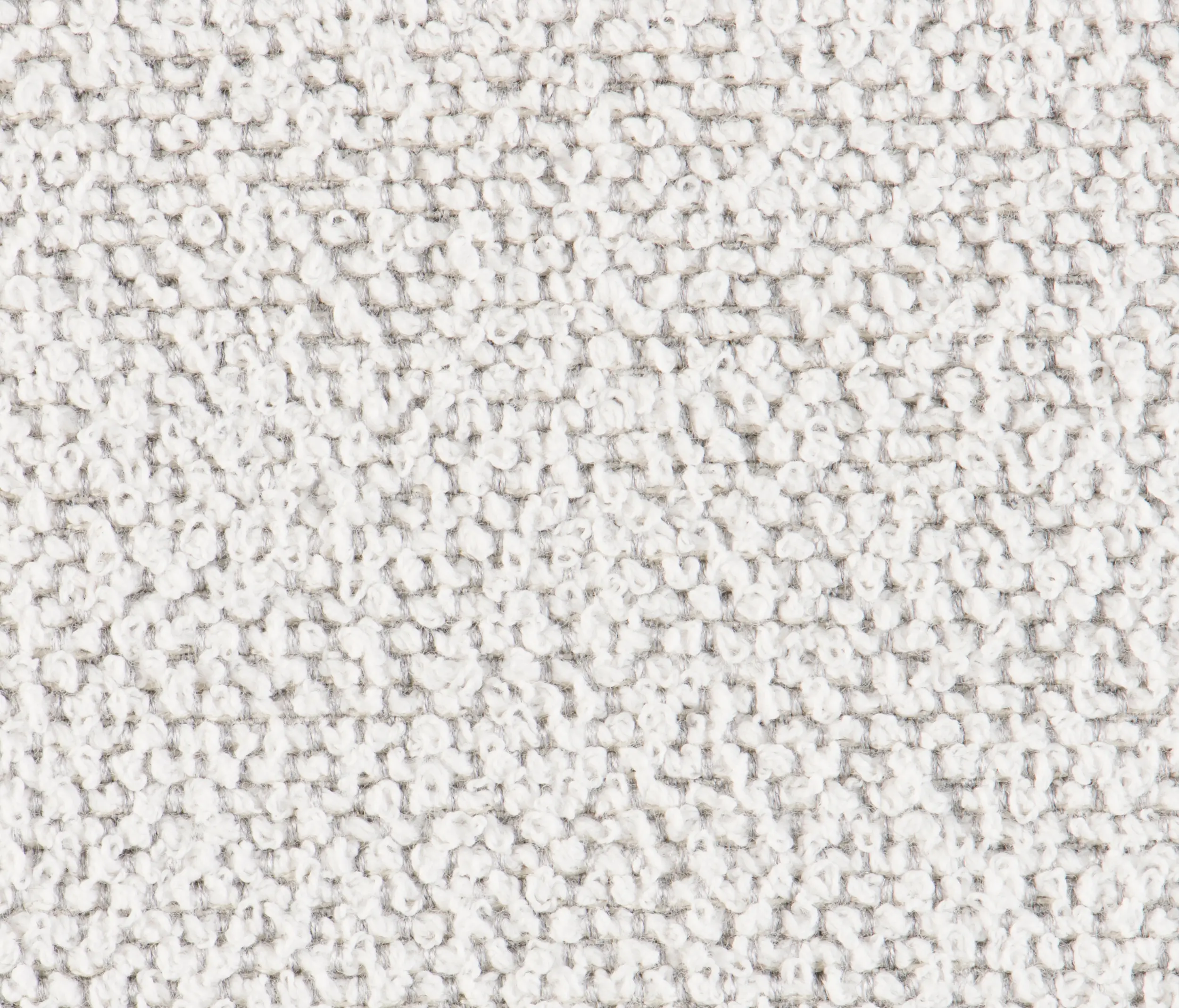 Agora - Signature Series Ego | Birch