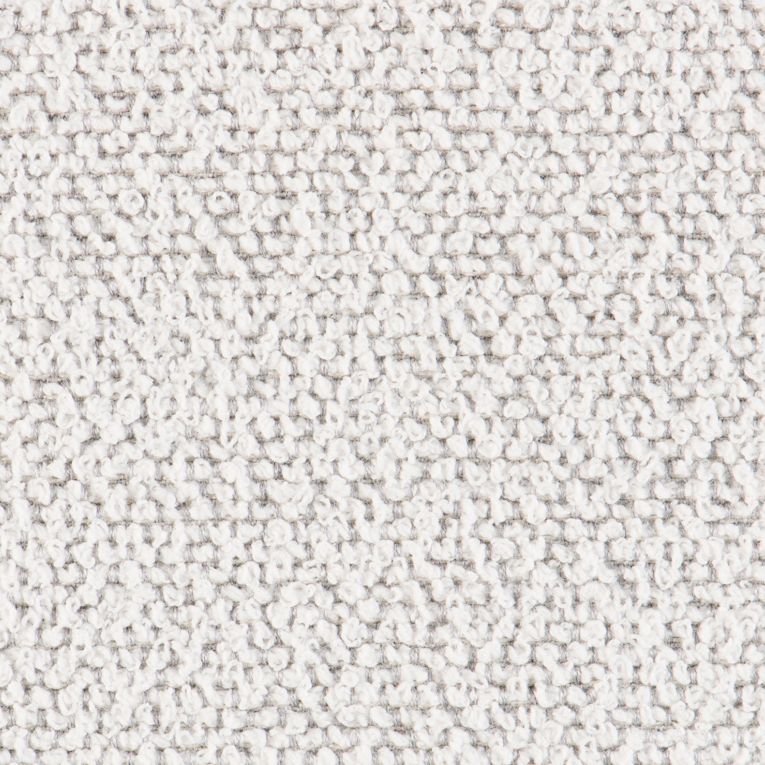 Signature Series Ego | Birch