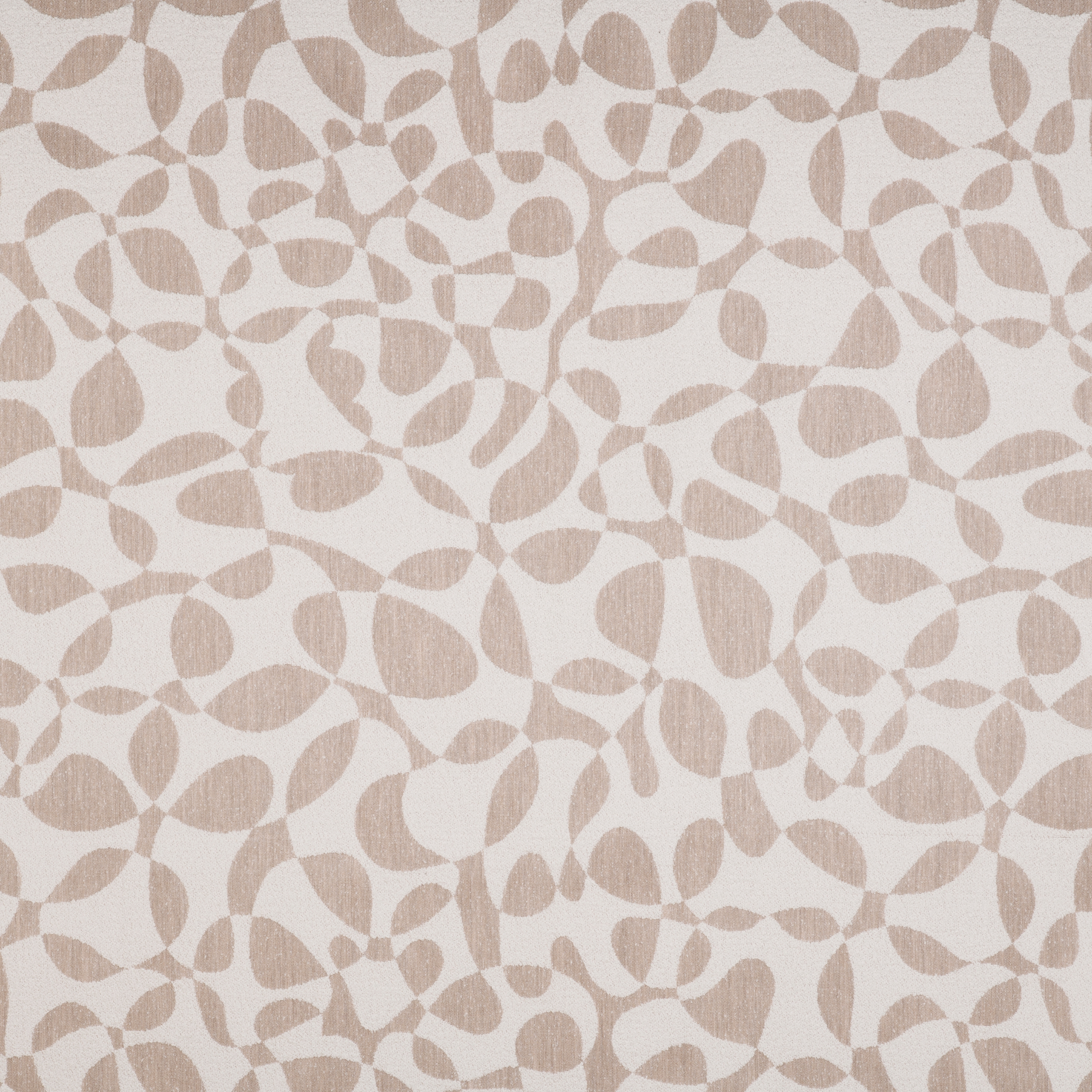 Signature Series Algae | Espuma