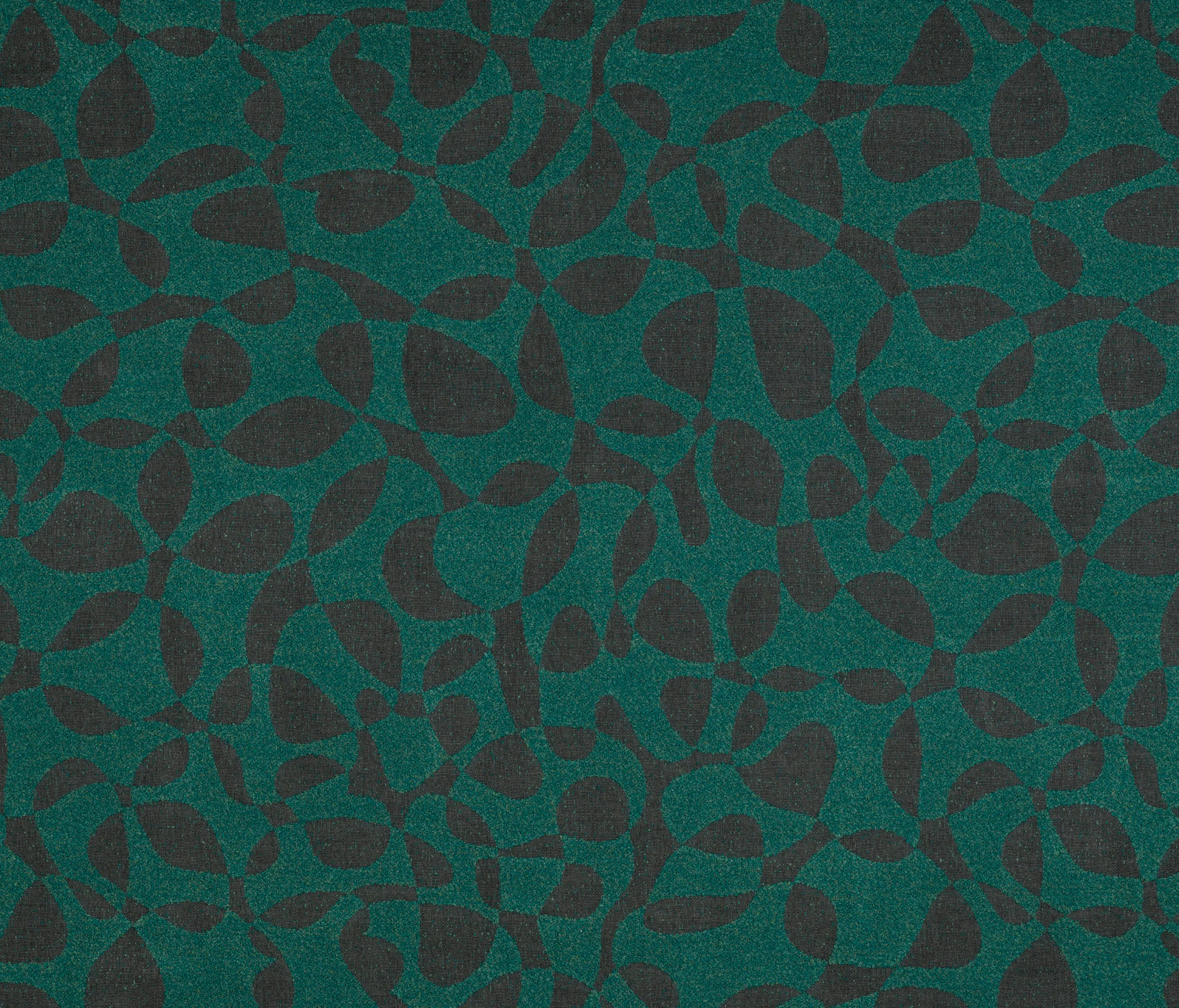 Agora - Signature Series Algae | Peninsula