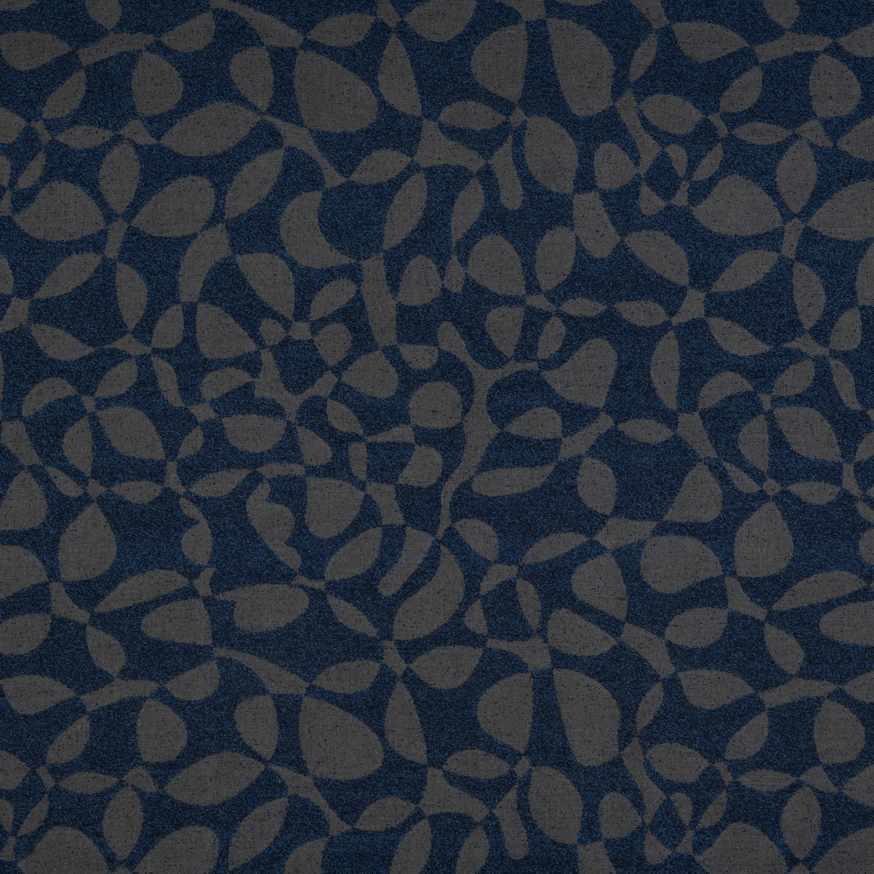 Signature Series Algae | Oceano