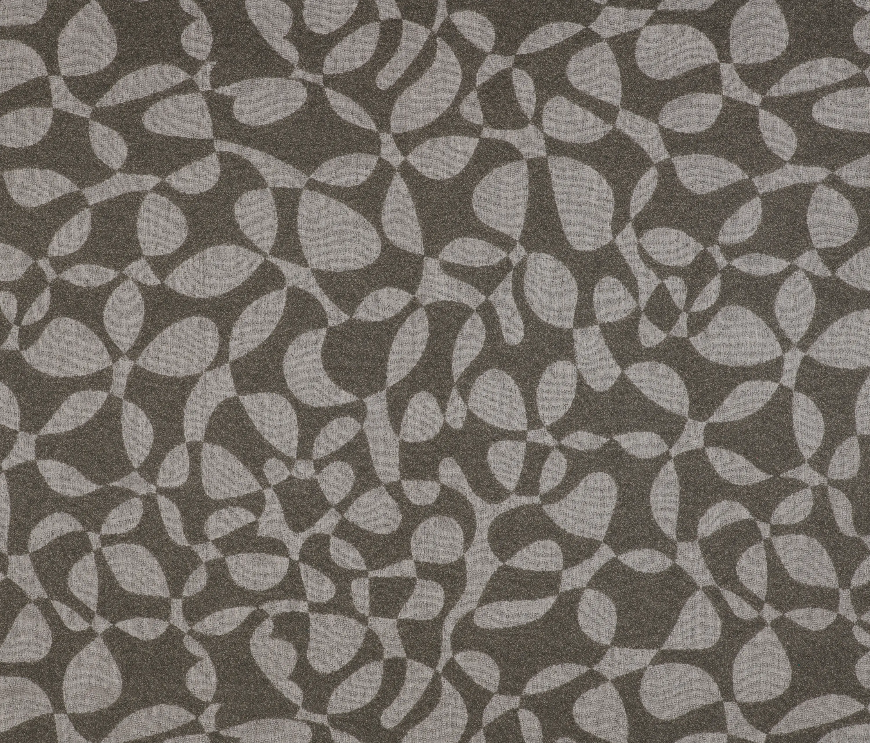 Agora - Signature Series Algae | Cantera