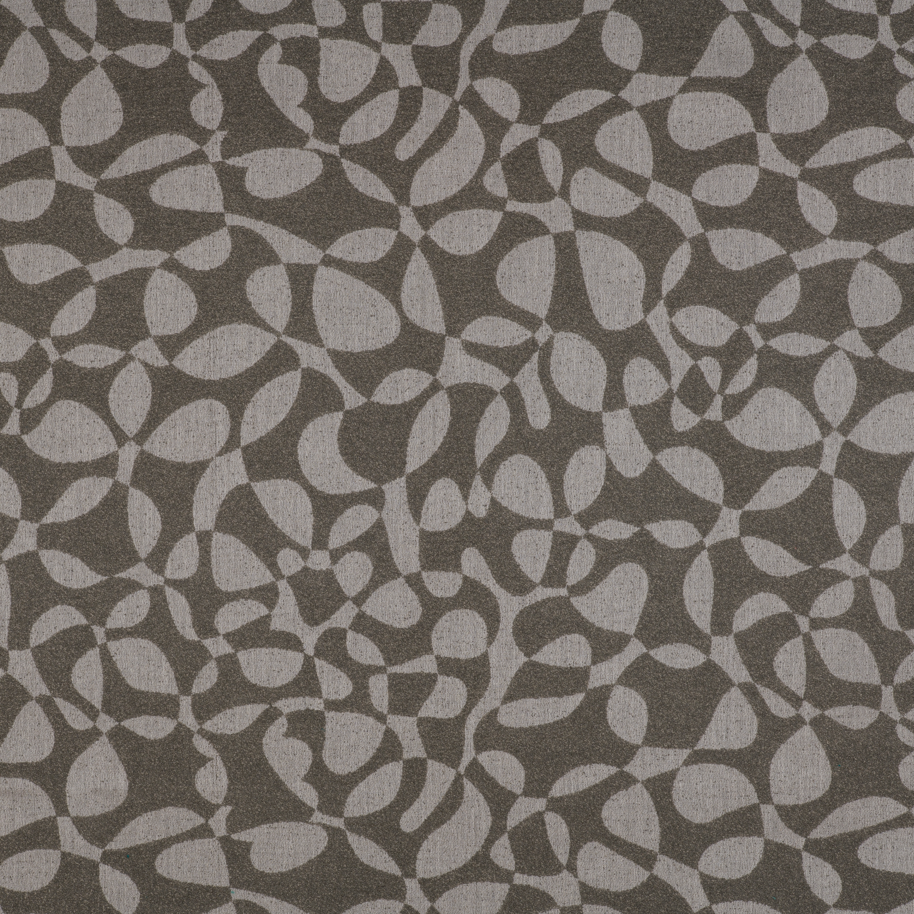 Signature Series Algae | Cantera