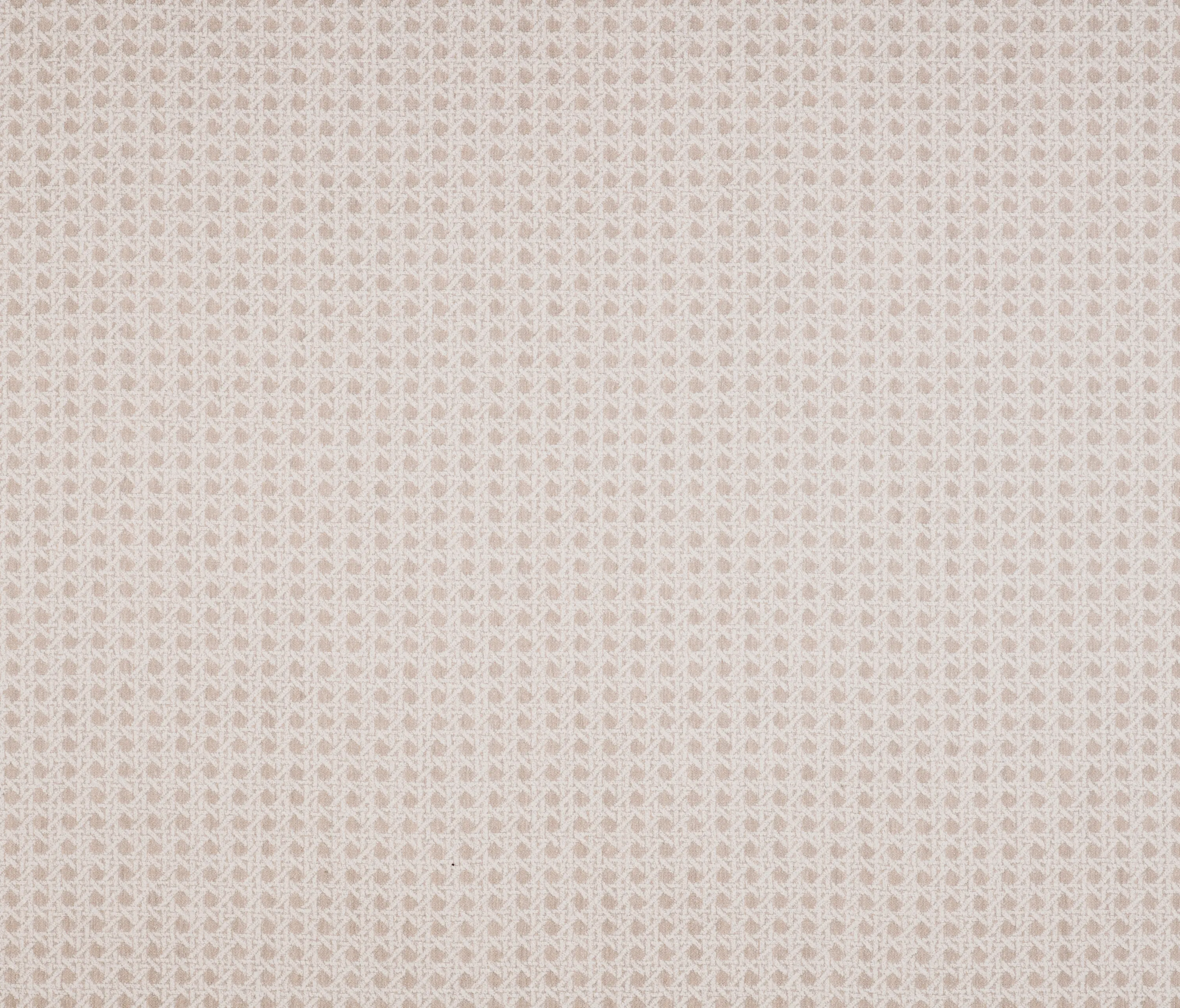 Agora - Signature Series Mimbres | Espuma