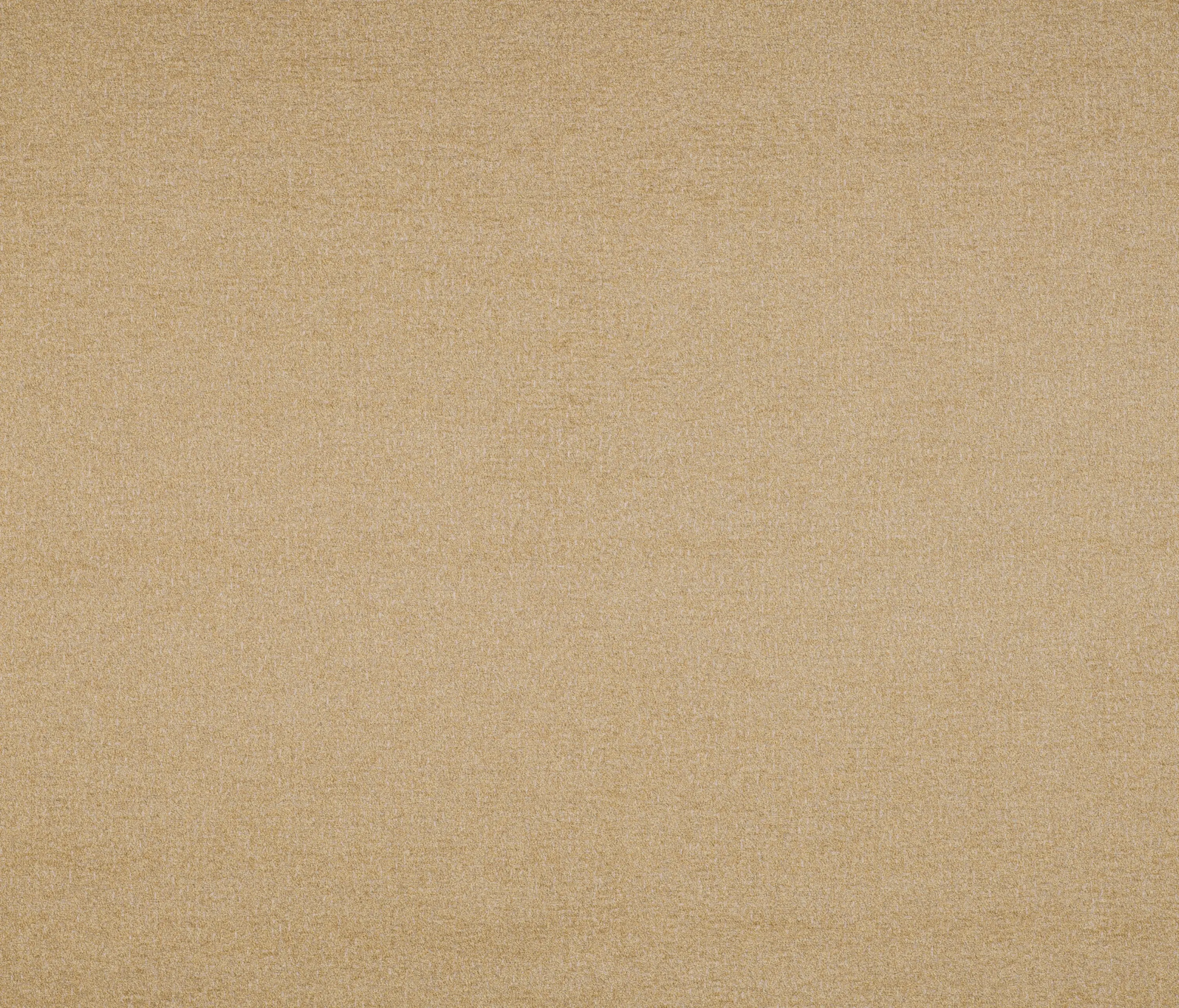 Agora - Signature Series Tifon | Arena