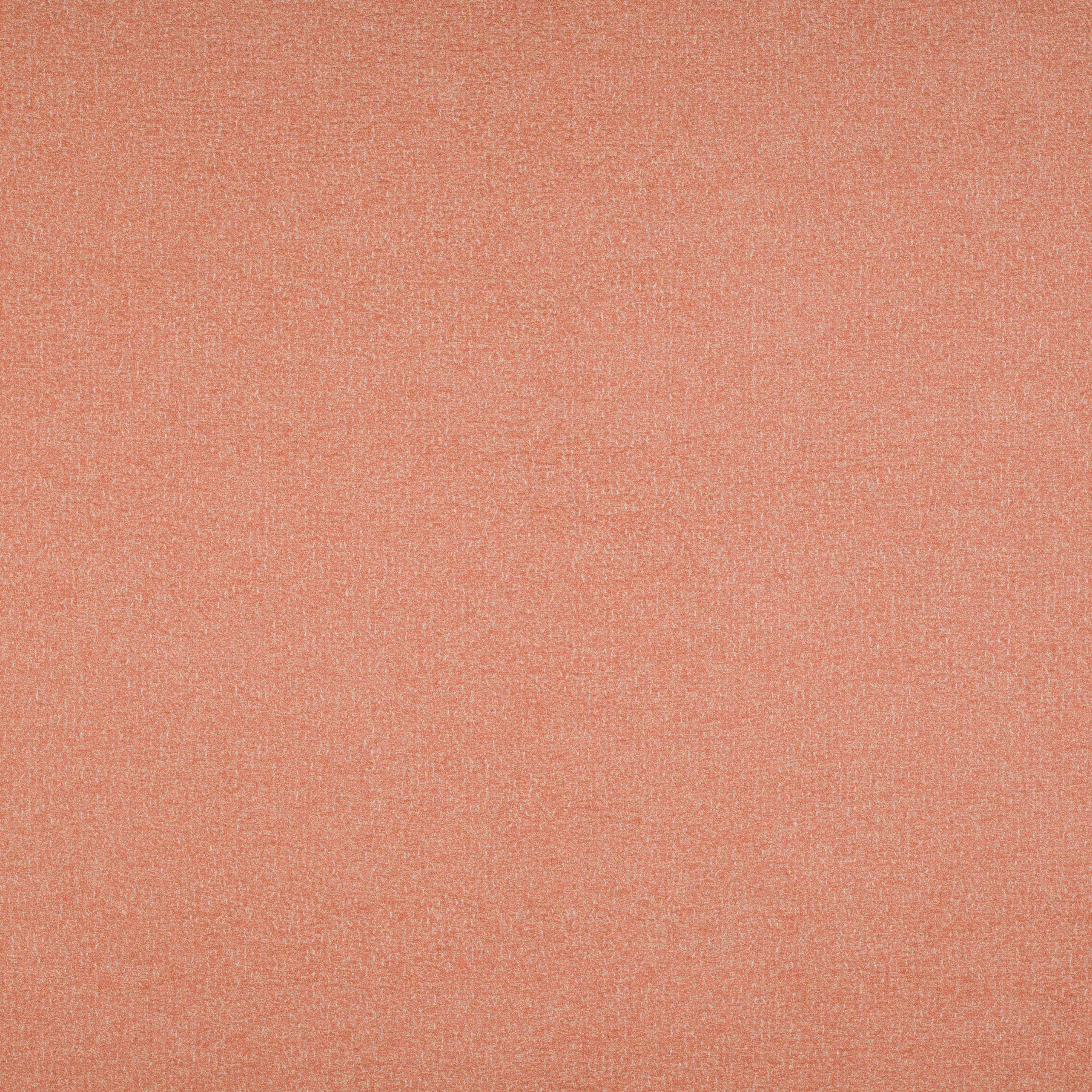 Signature Series Tifon | Coral