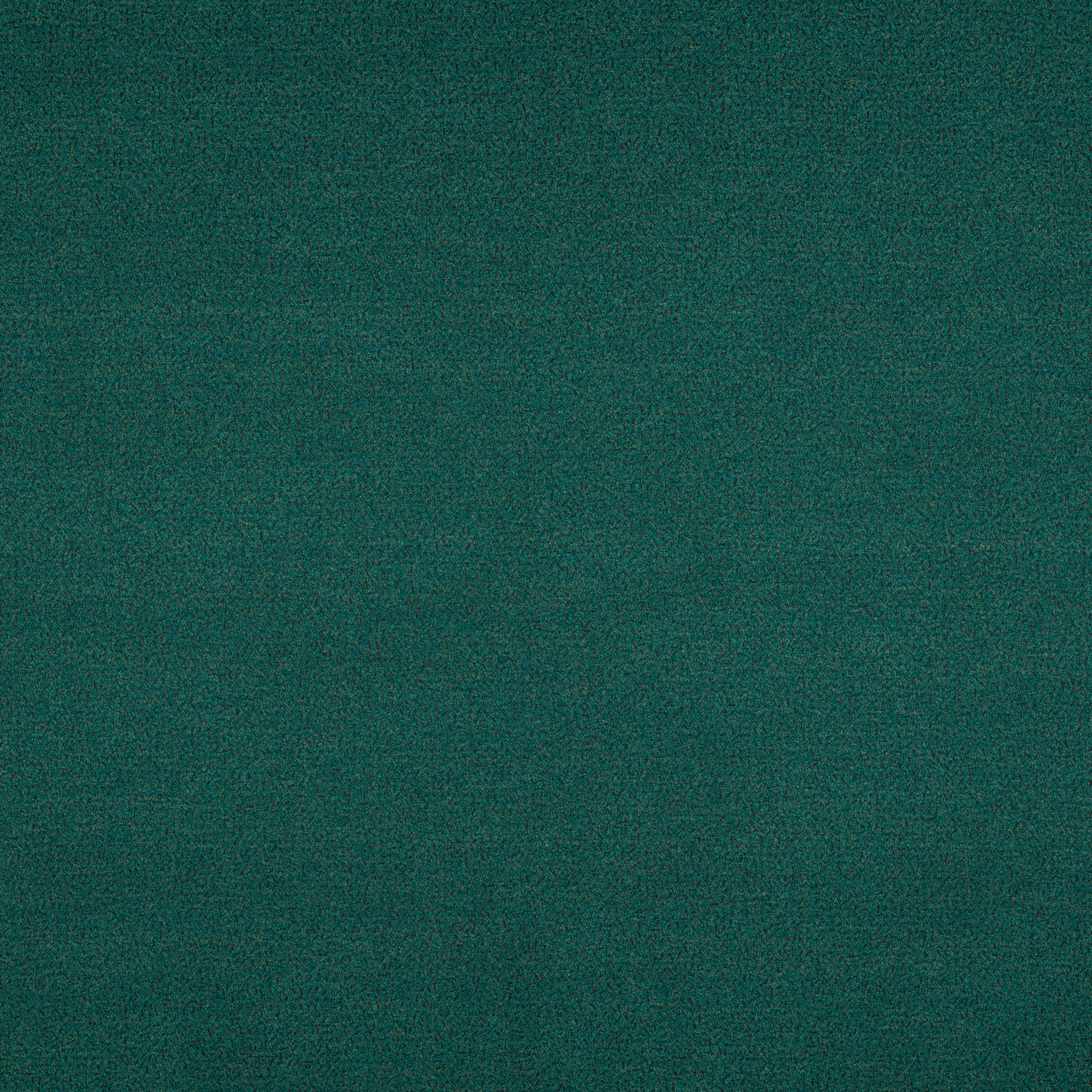 Signature Series Tifon | Peninsula