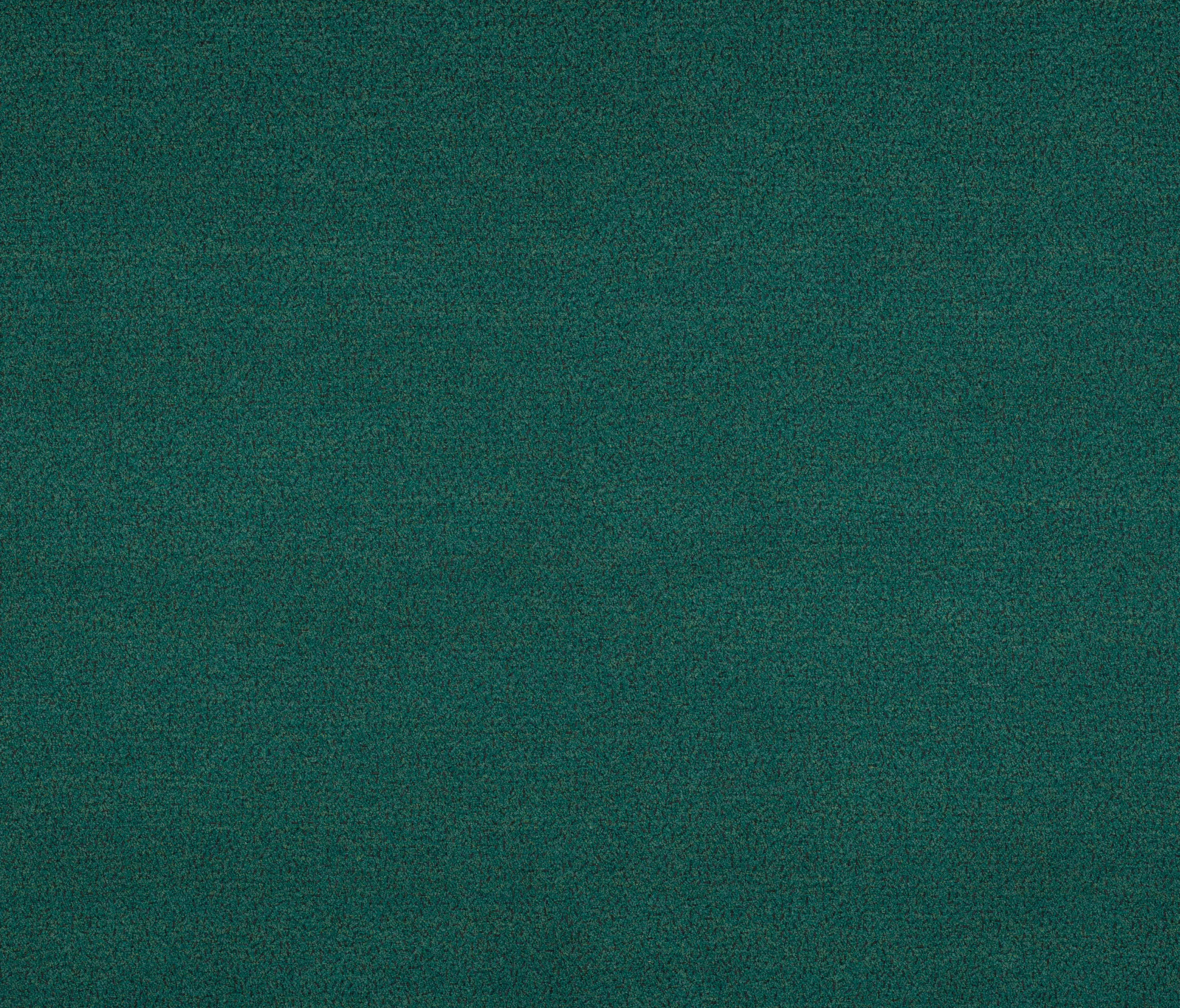 Agora - Signature Series Tifon | Peninsula