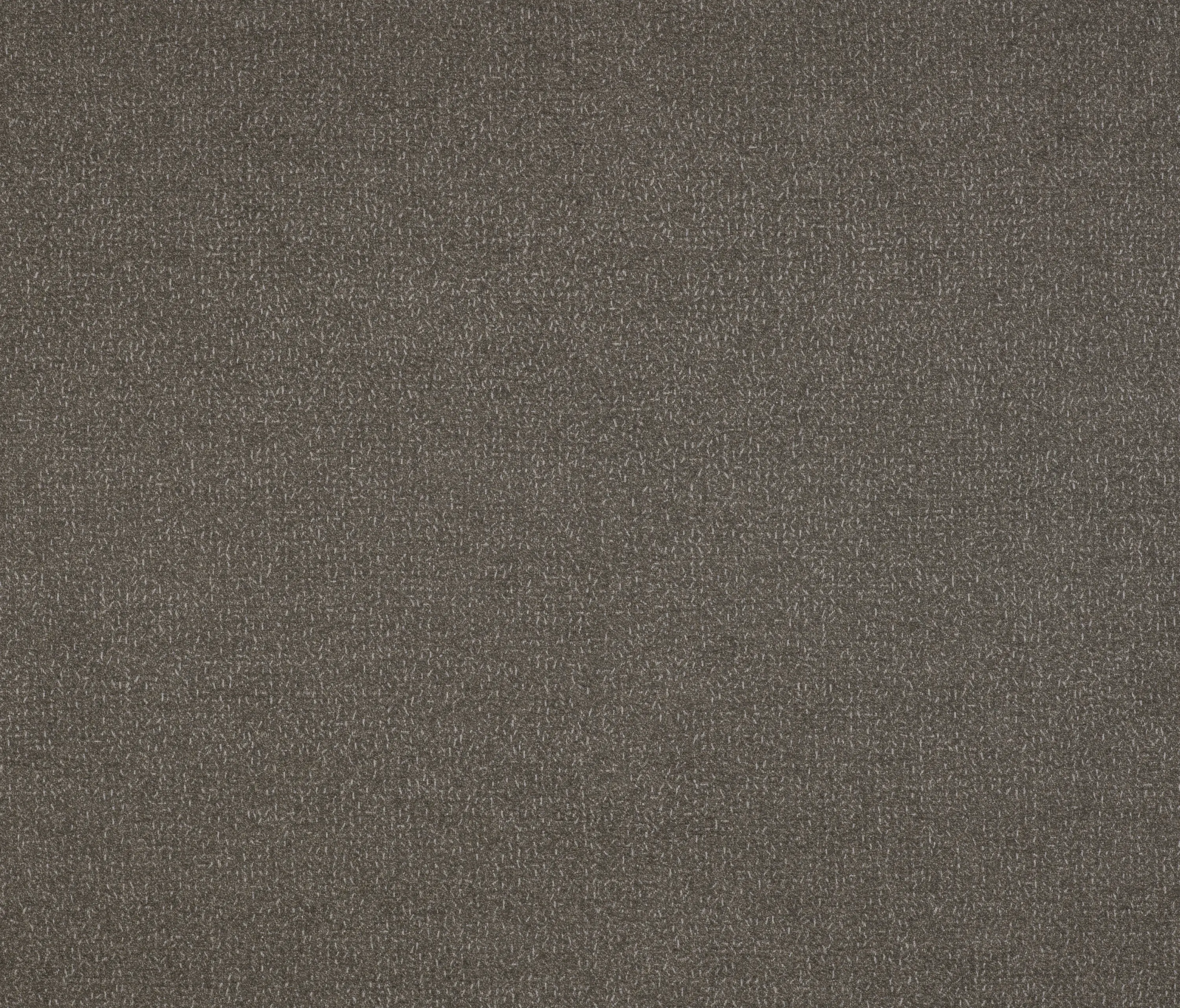 Agora - Signature Series Tifon | Cantera