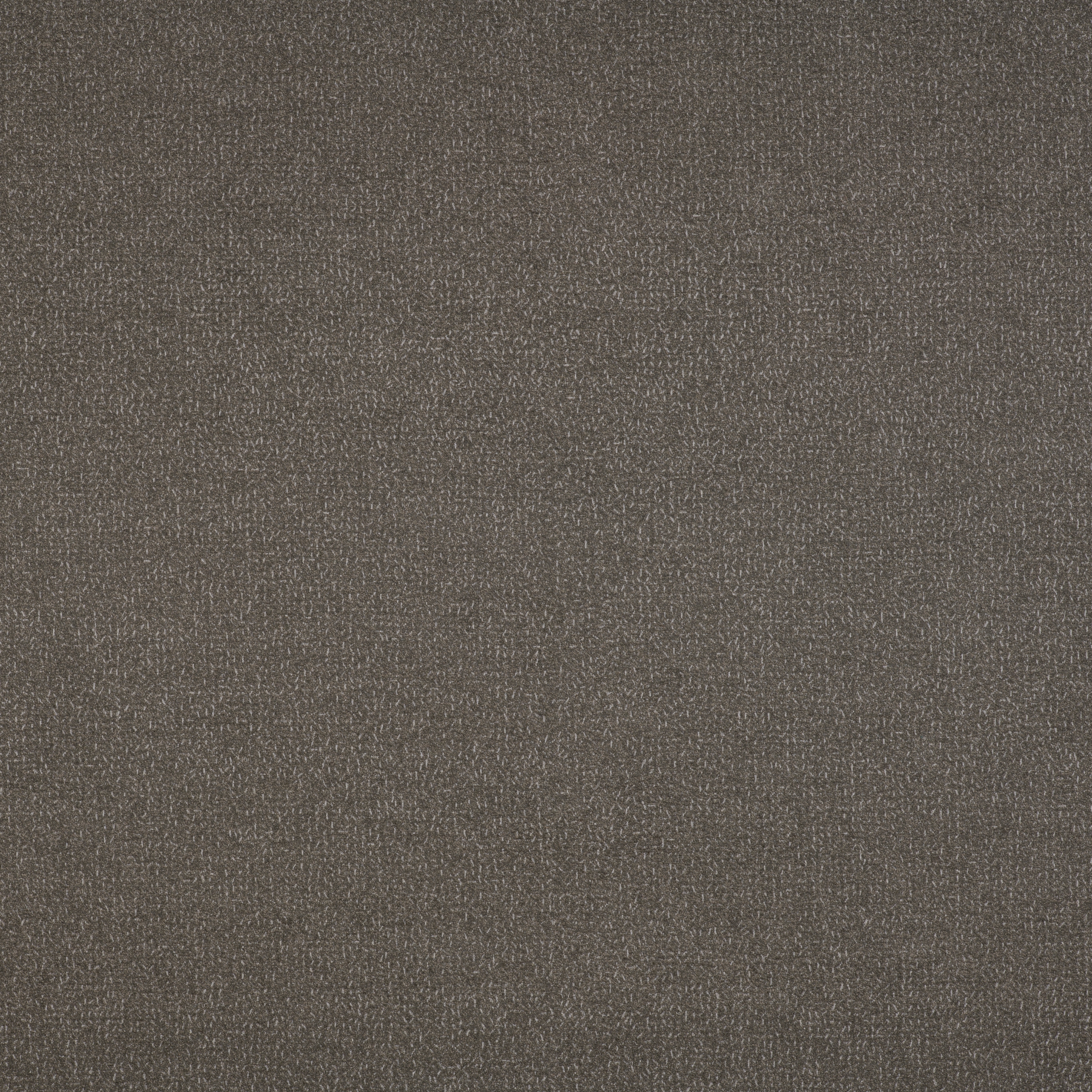 Signature Series Tifon | Cantera