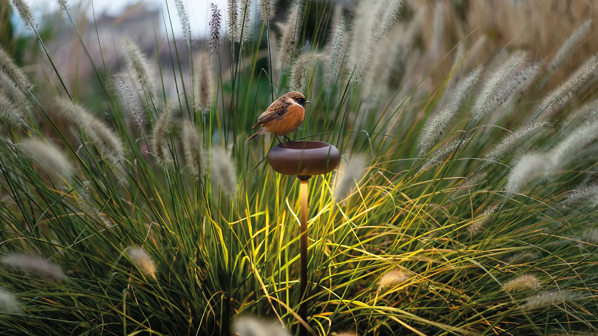 9010 Novantadieci - 1112D OOLITE CUP bollard lighting BETALY® outdoor