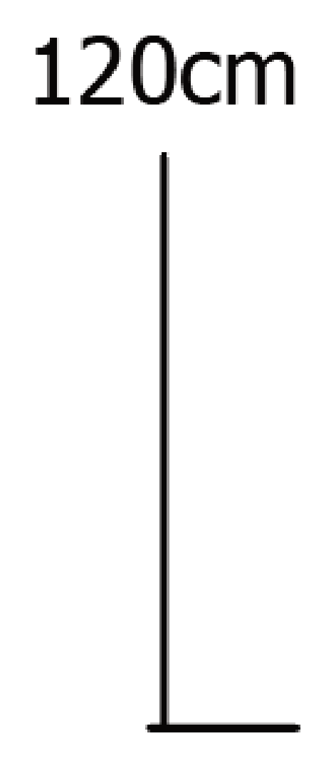 Thumbnail for image 6