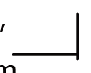 Thumbnail for image 44