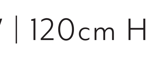 Thumbnail for image 49