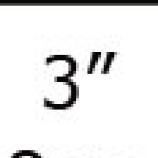 Thumbnail for image 1