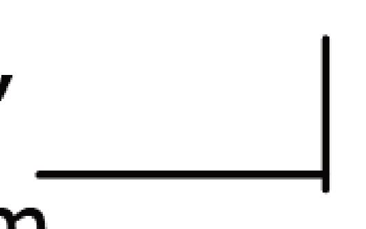 Thumbnail for image 6